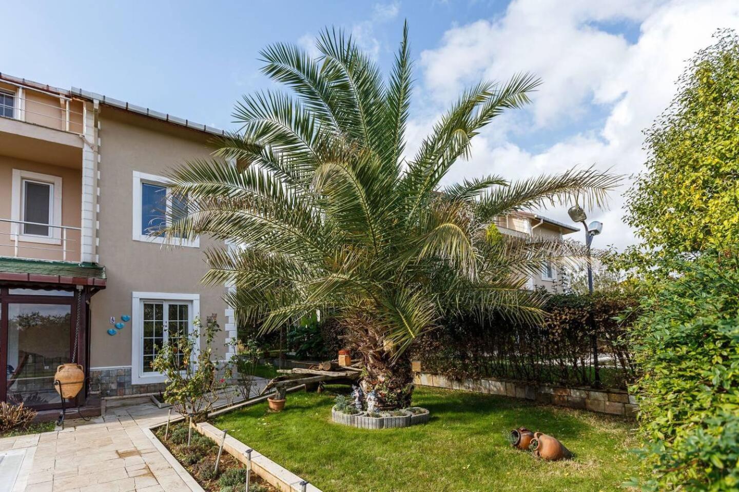 Villa Moon