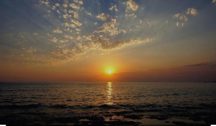 Photo 66