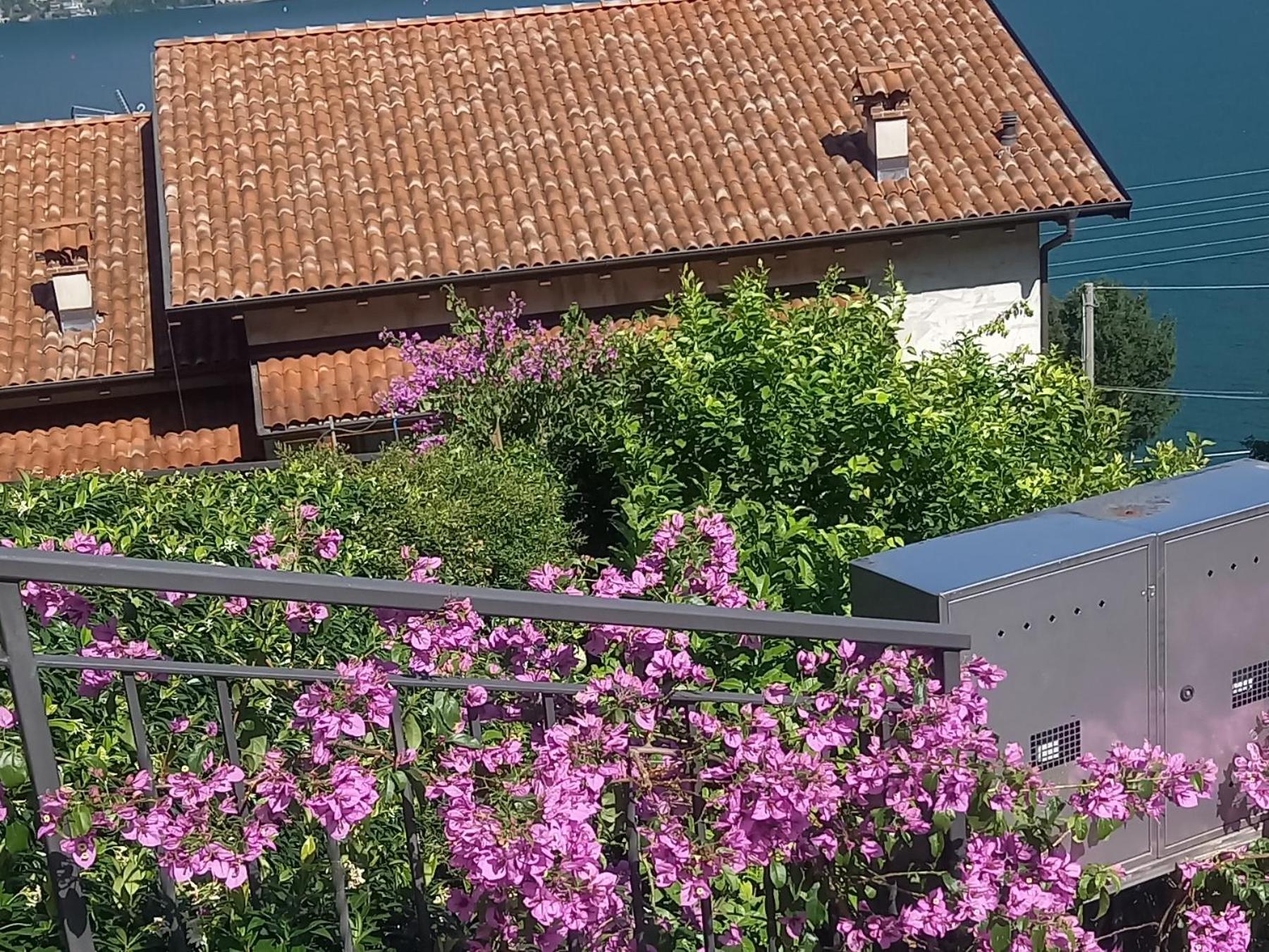 Villa Emma