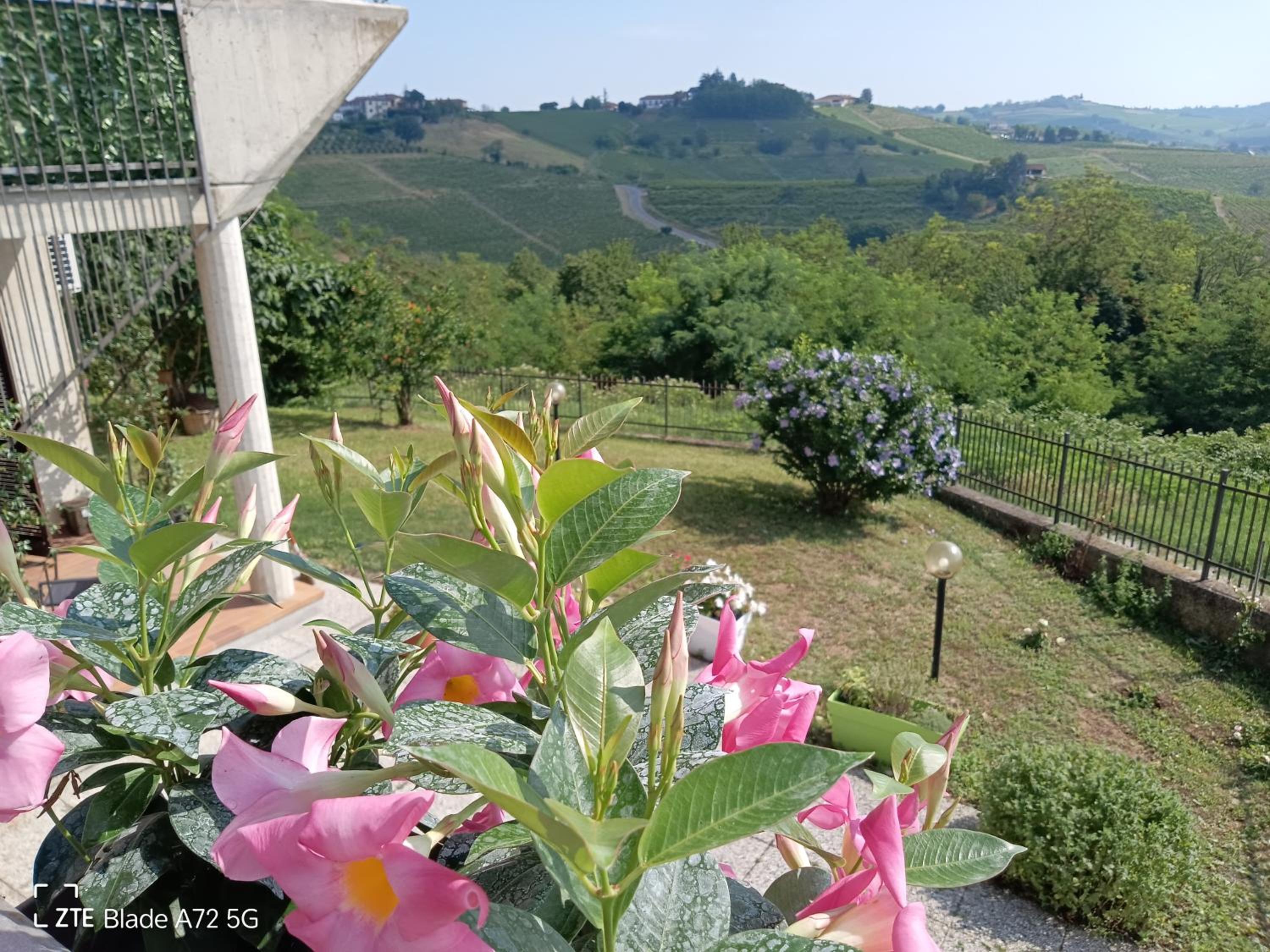 Maison Younesco - Villa indipendente exclusive view 4