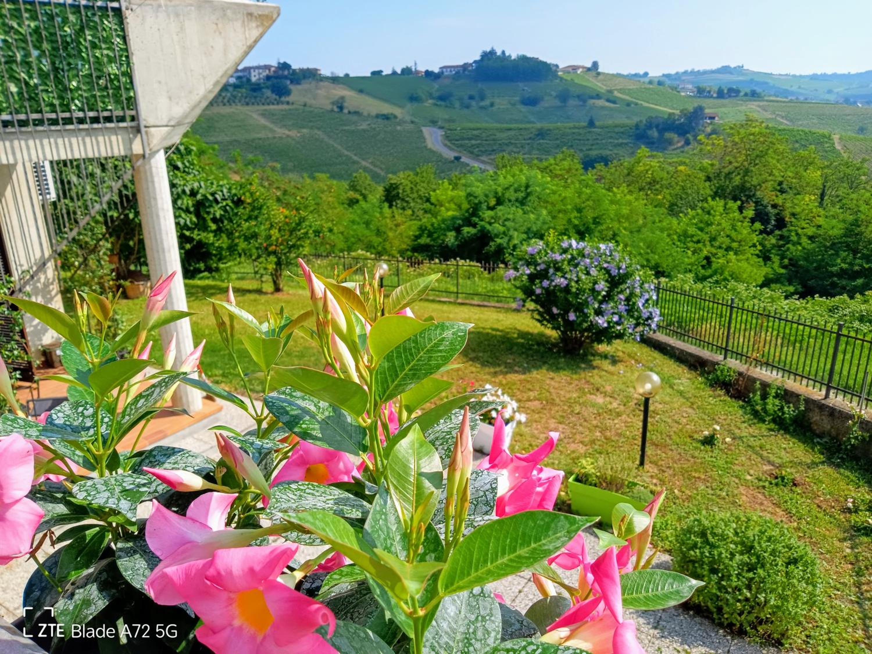 Maison Younesco - Villa indipendente exclusive view 2