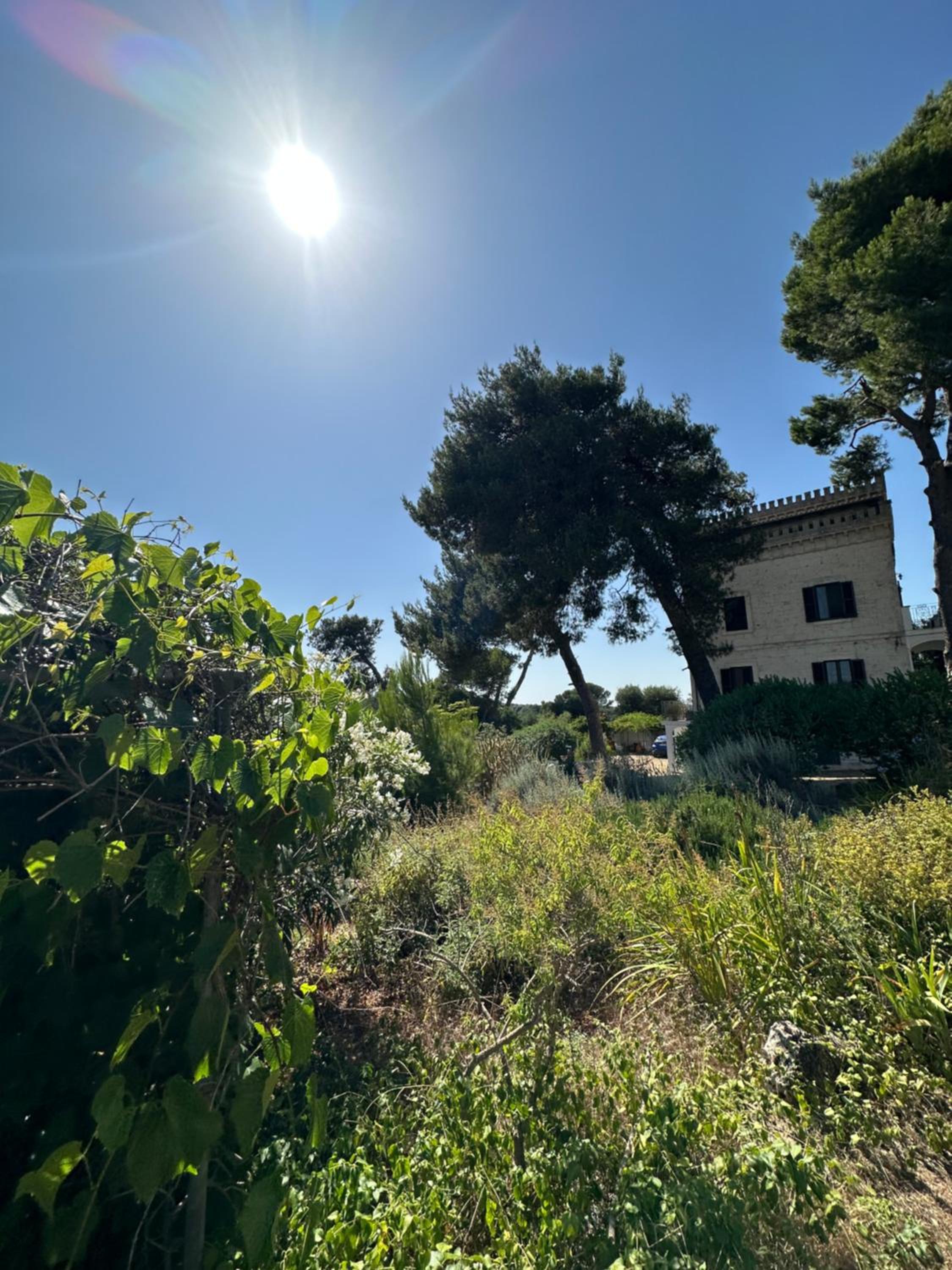 Torre Marinella