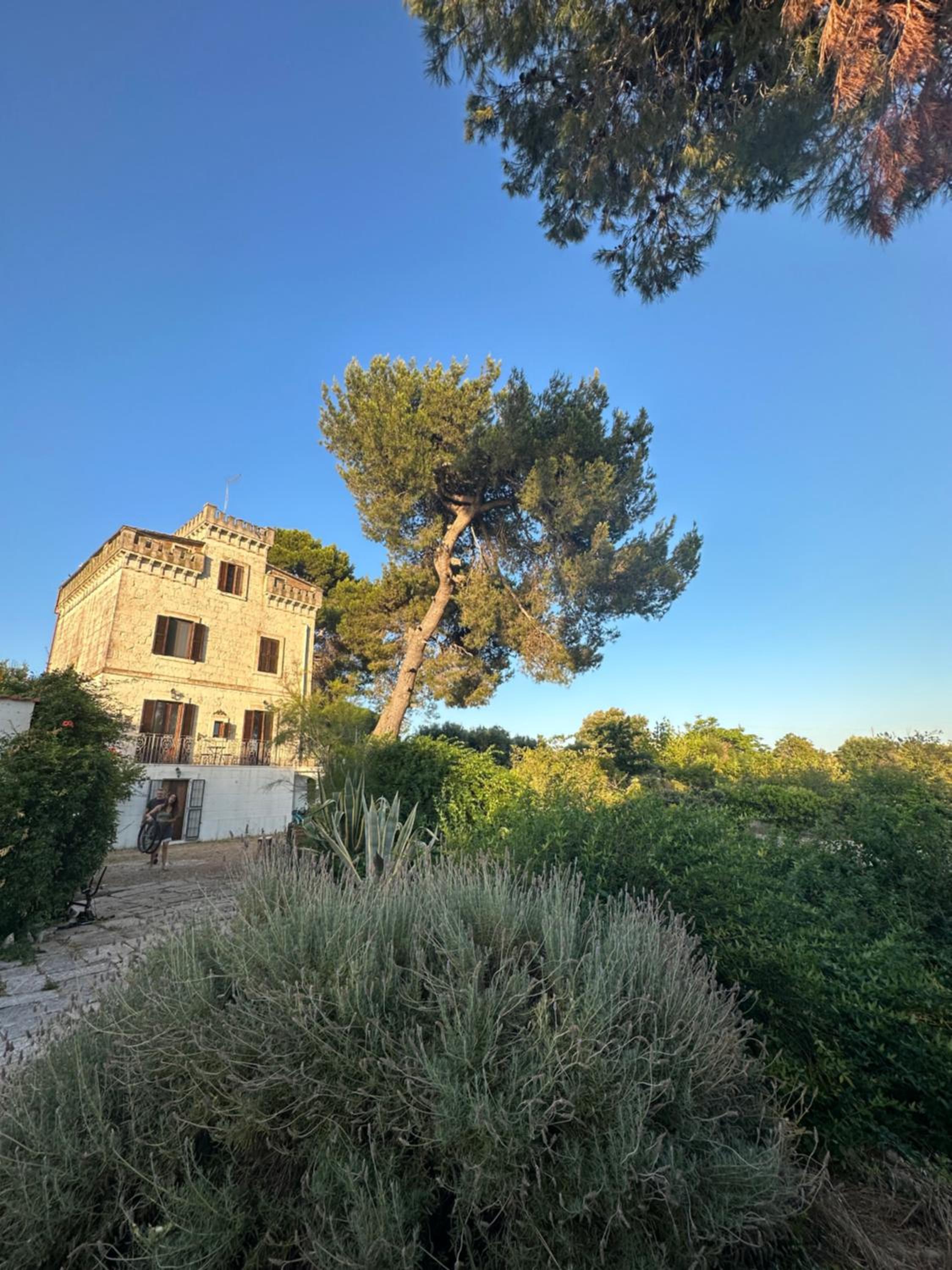 Torre Marinella