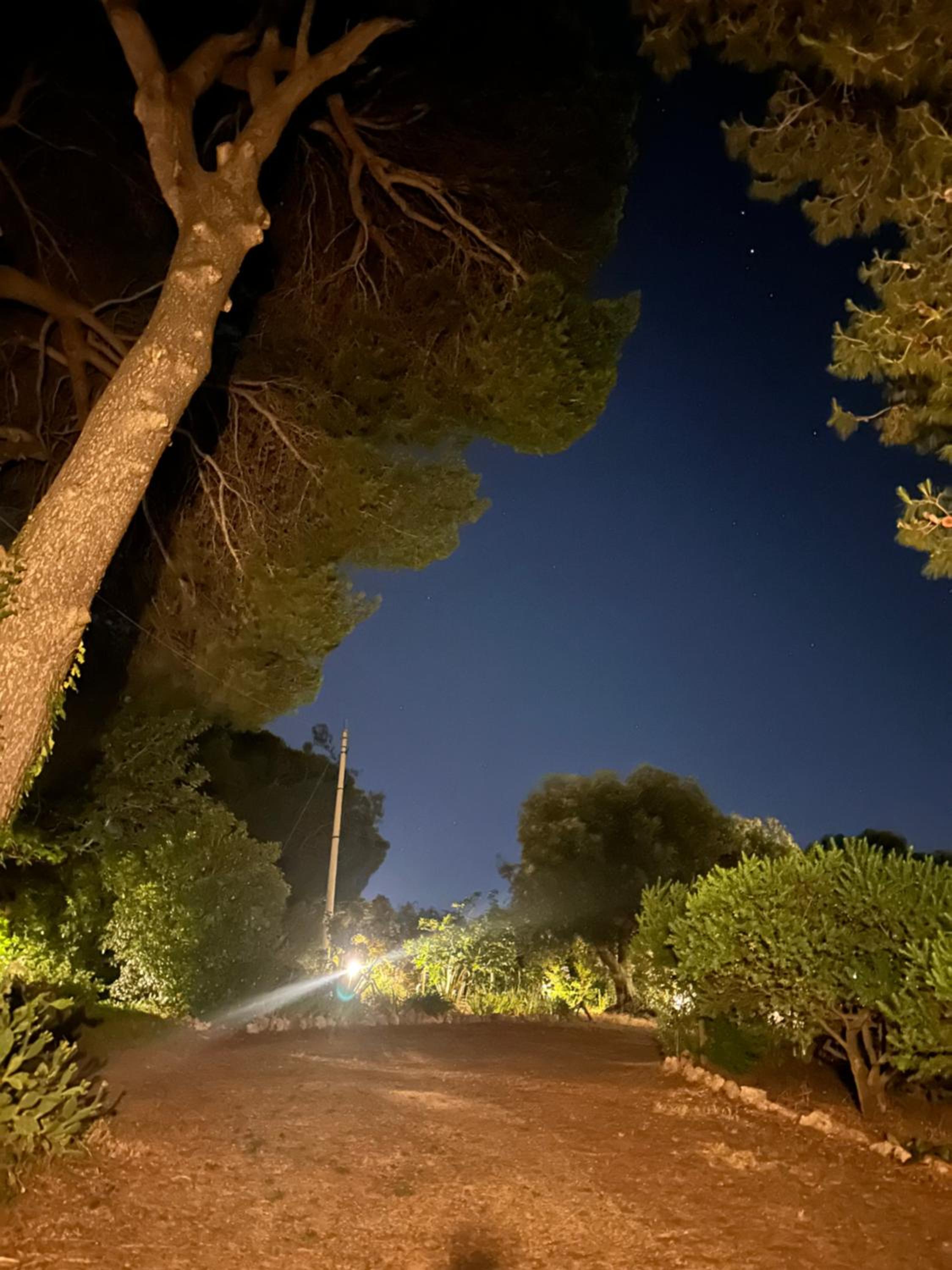 Torre Marinella