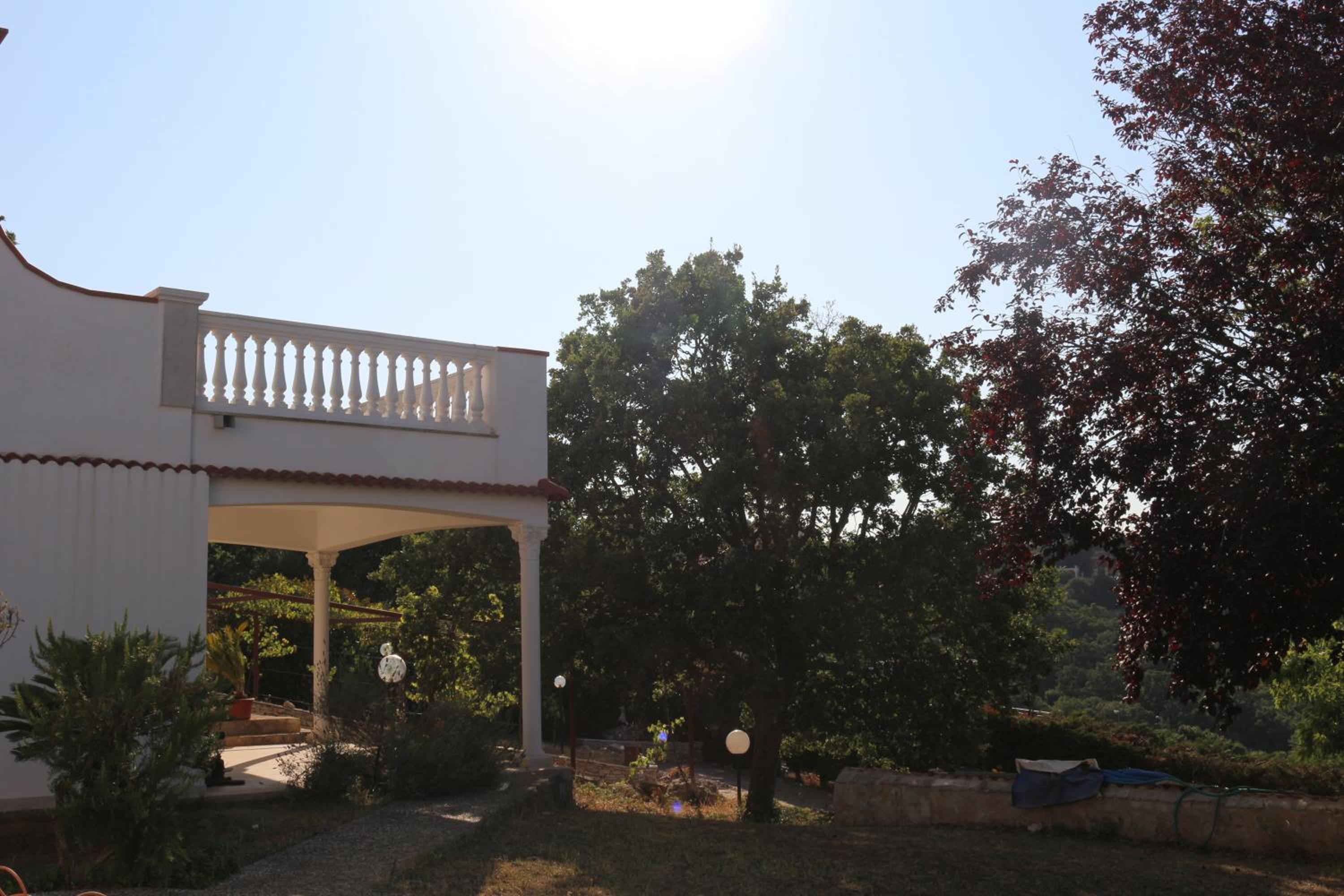 B&B Belvedere