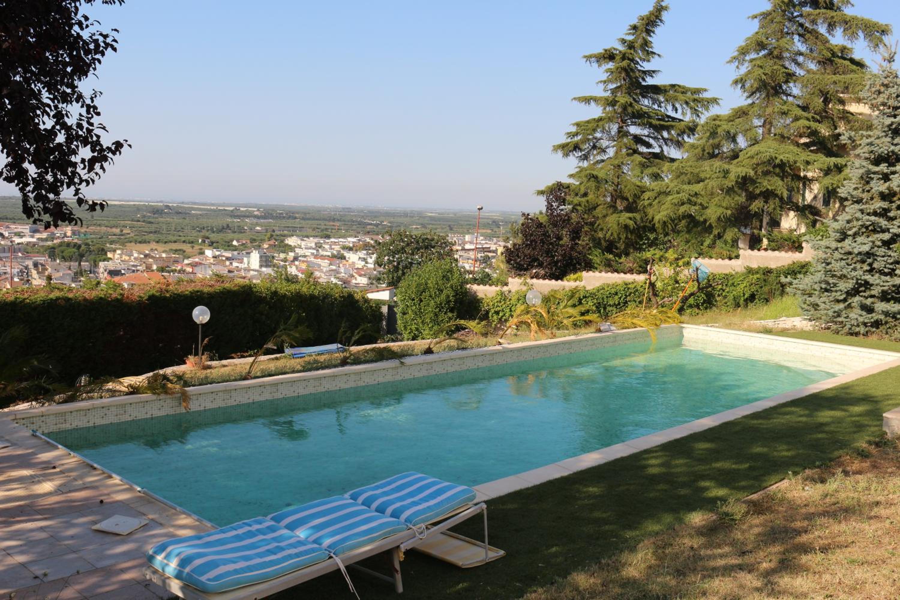 B&B Belvedere