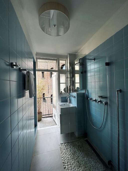 Luxury apartment in the city center