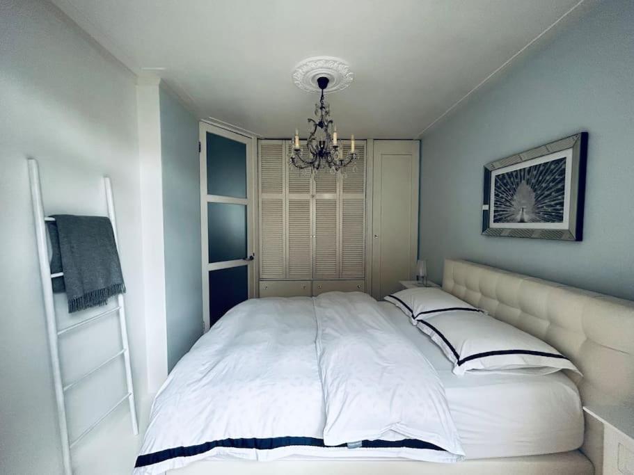 Luxury apartment in the city center