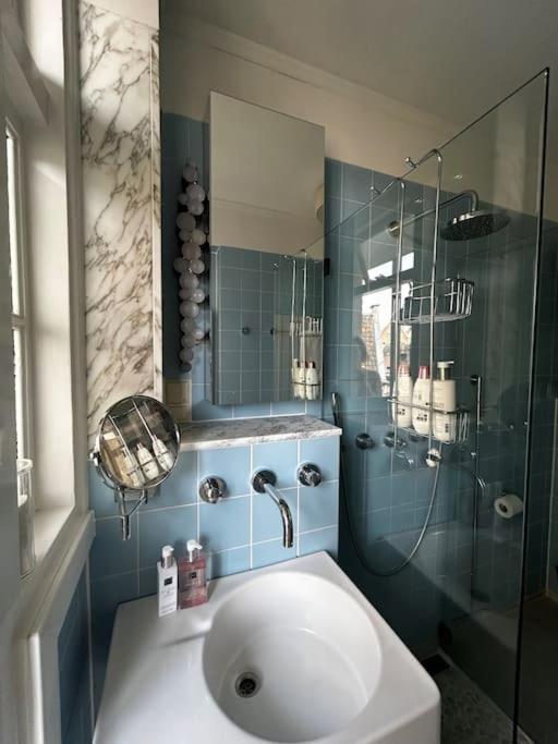 Luxury apartment in the city center