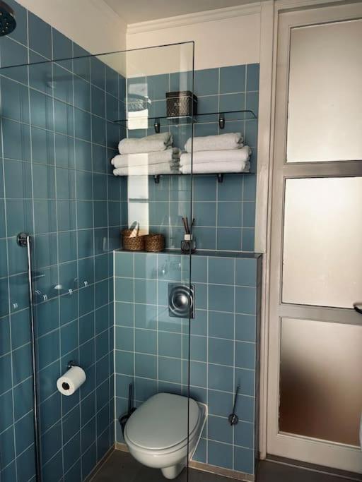 Luxury apartment in the city center