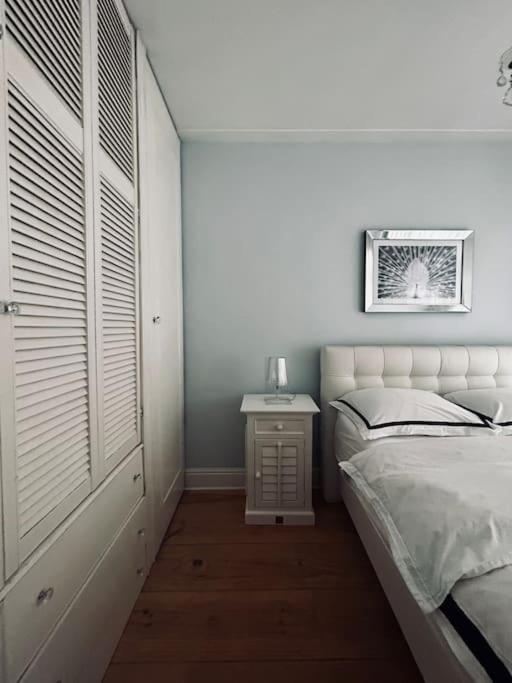 Luxury apartment in the city center