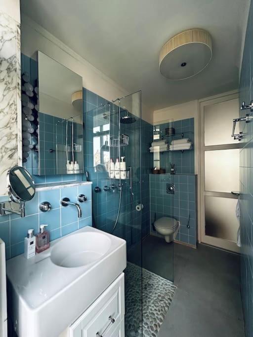 Luxury apartment in the city center