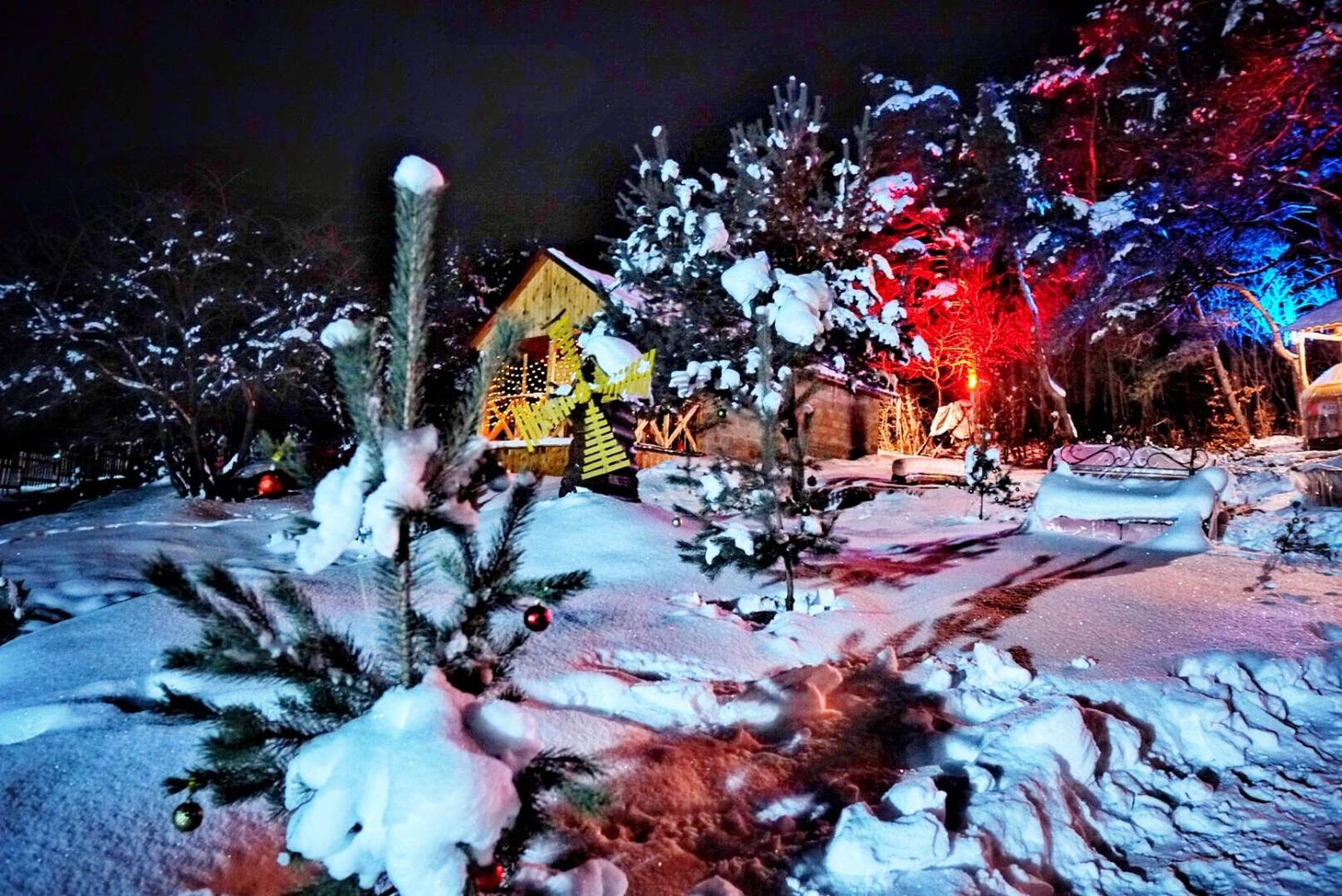 Eco Park Resort in Stepanavan Dendropark