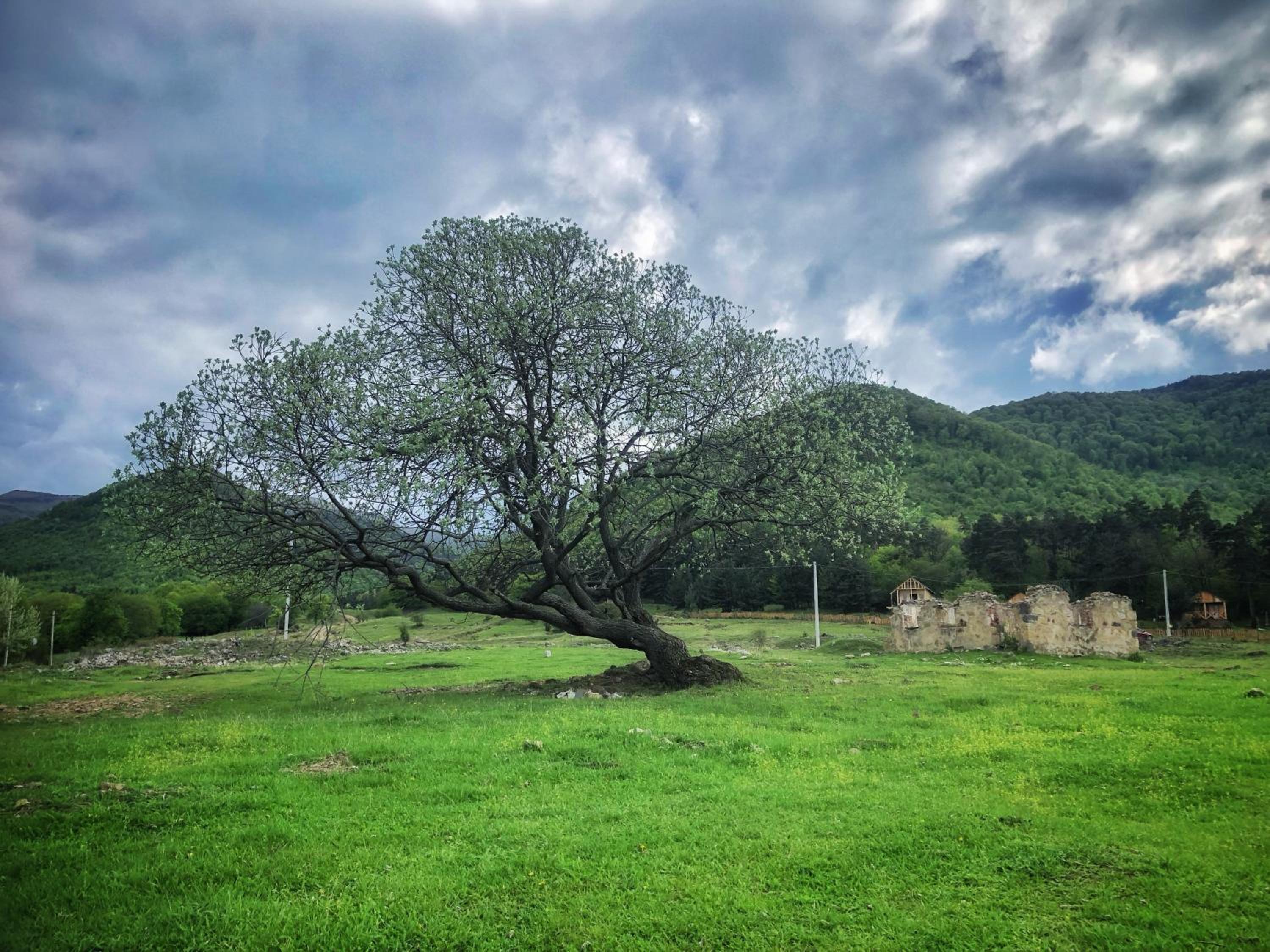 Eco Park Resort in Stepanavan Dendropark