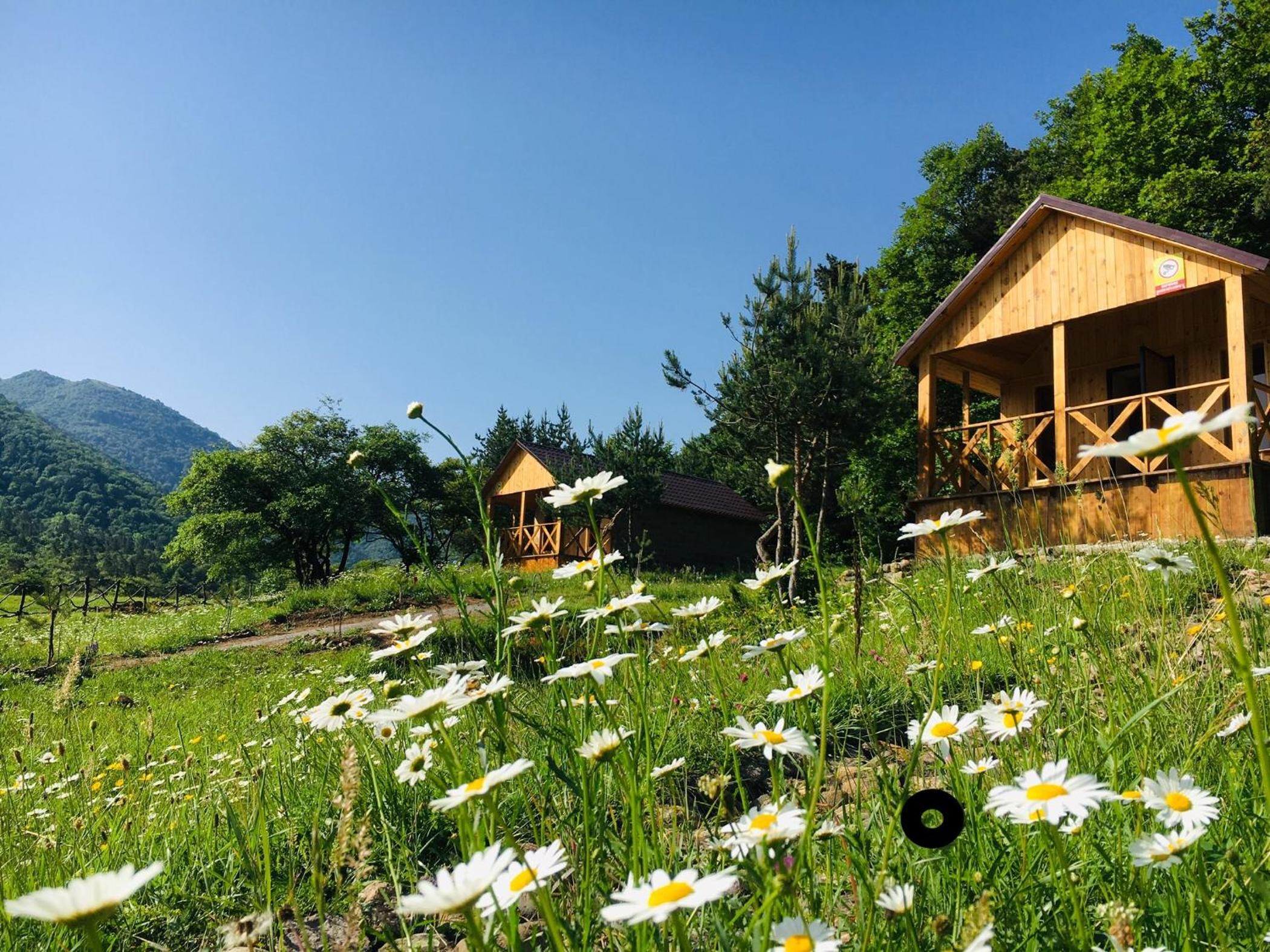 Eco Park Resort in Stepanavan Dendropark