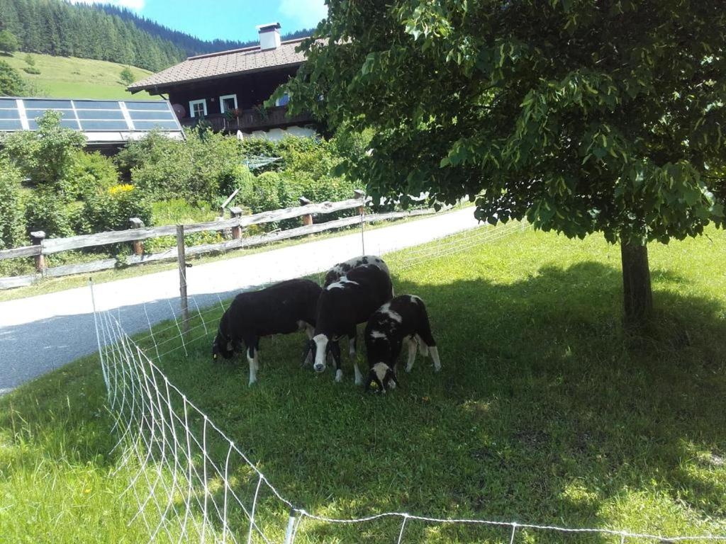 Neudegghof
