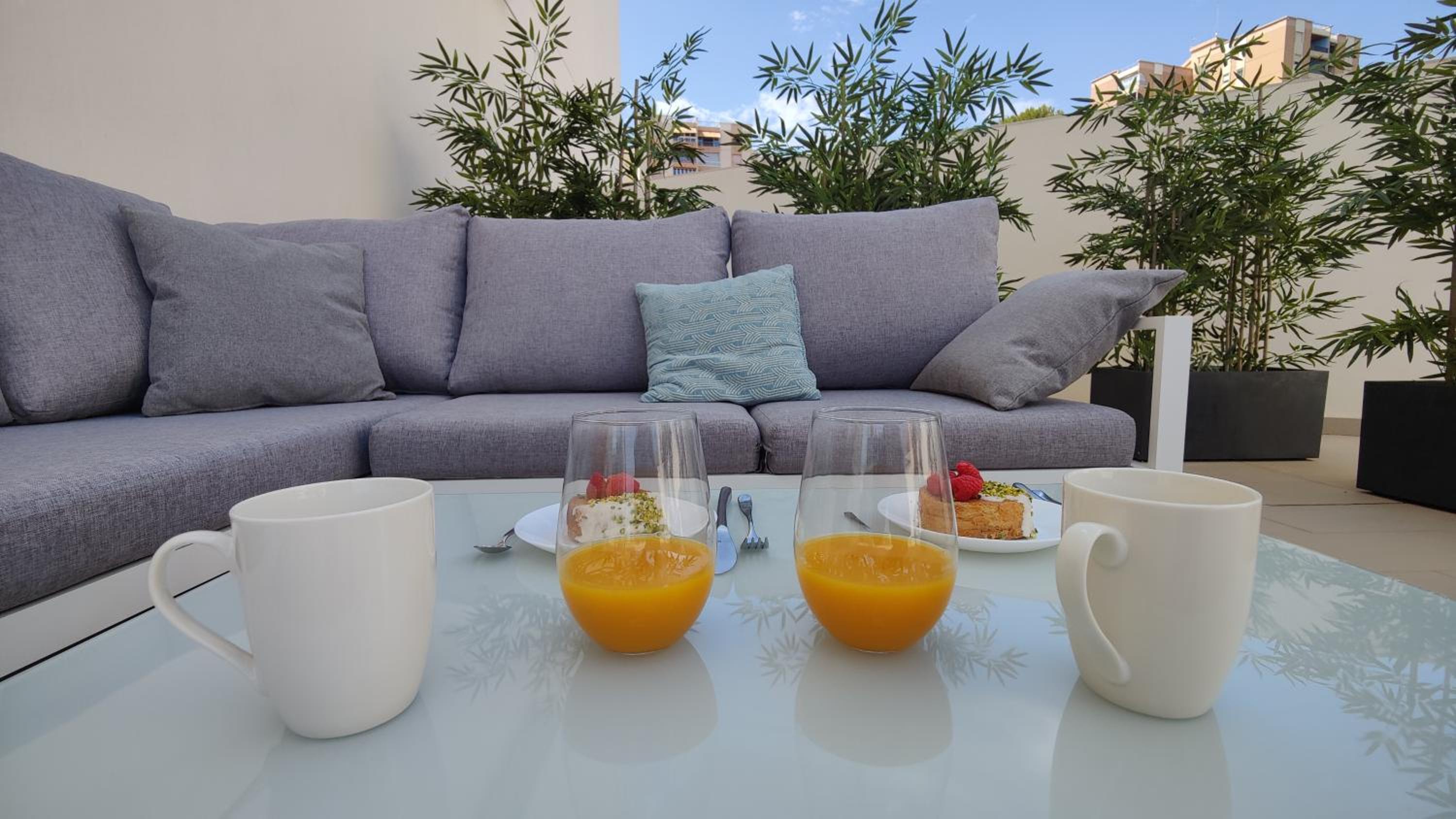 balance & terrace