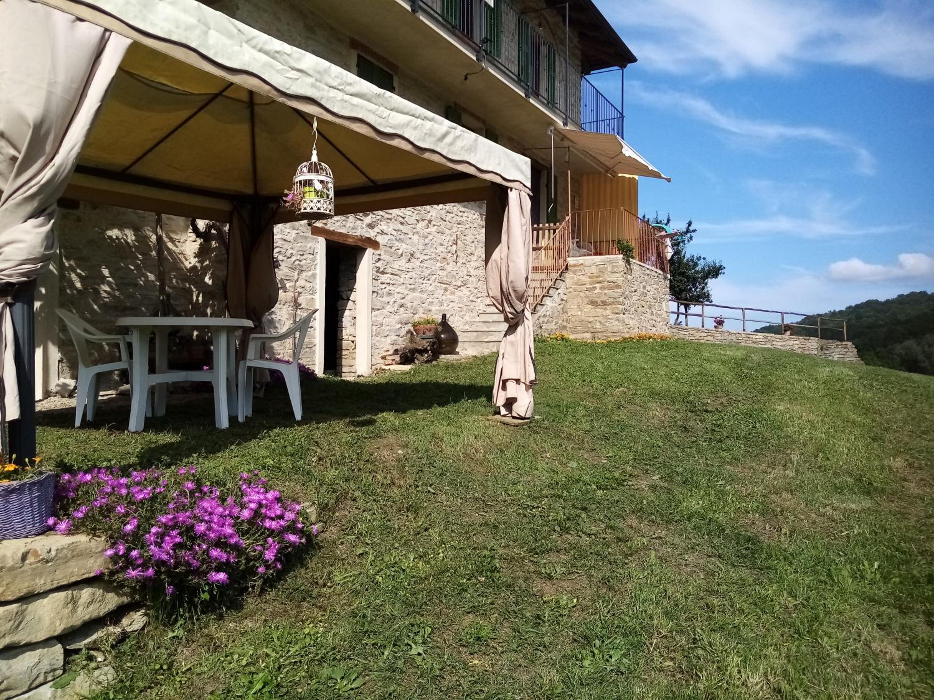 Photo 36
