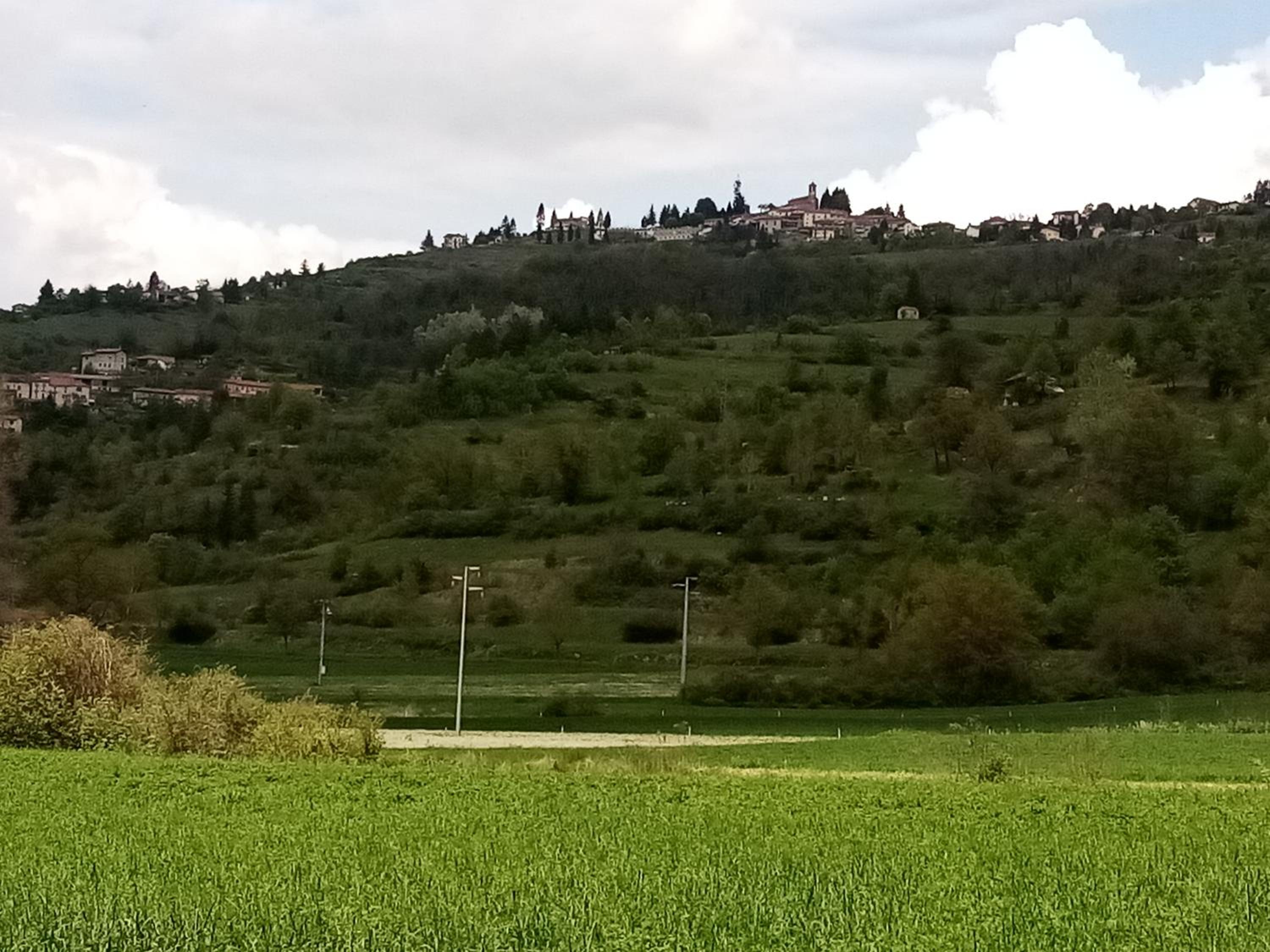 Photo 43