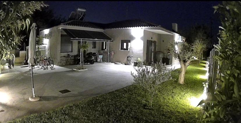 Photo 26
