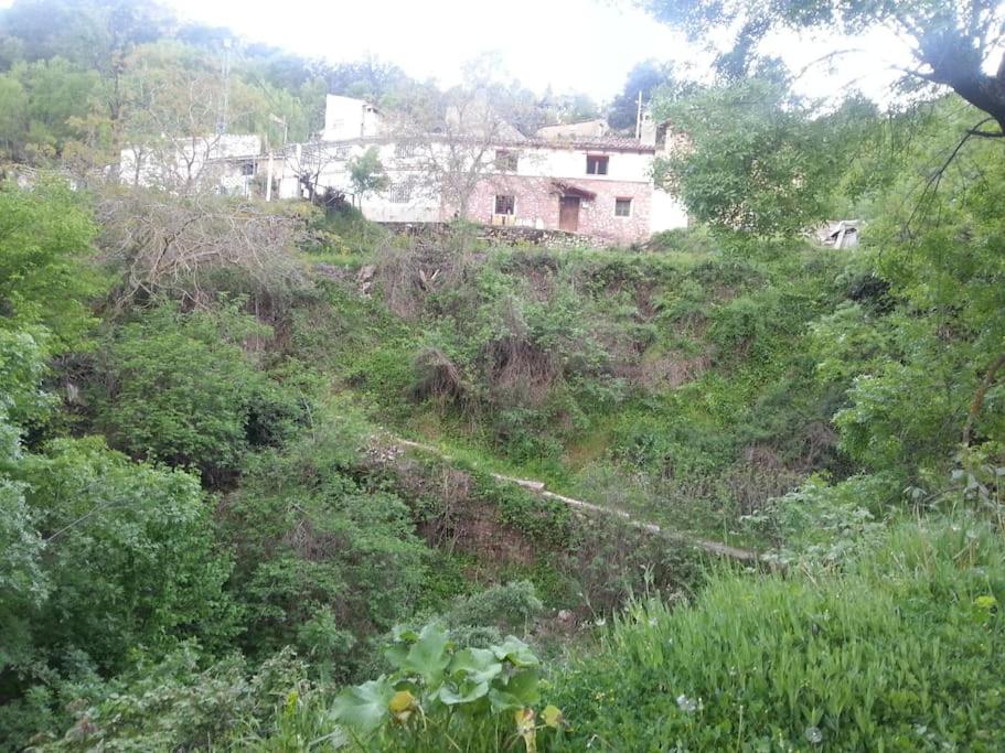 Casa en plena naturaleza