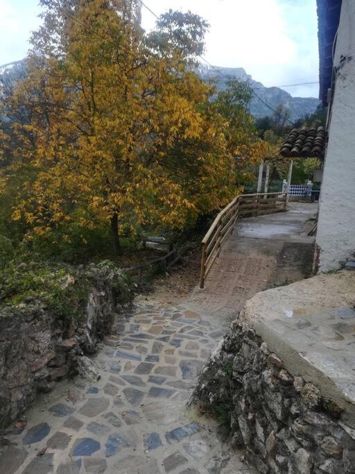 Casa en plena naturaleza