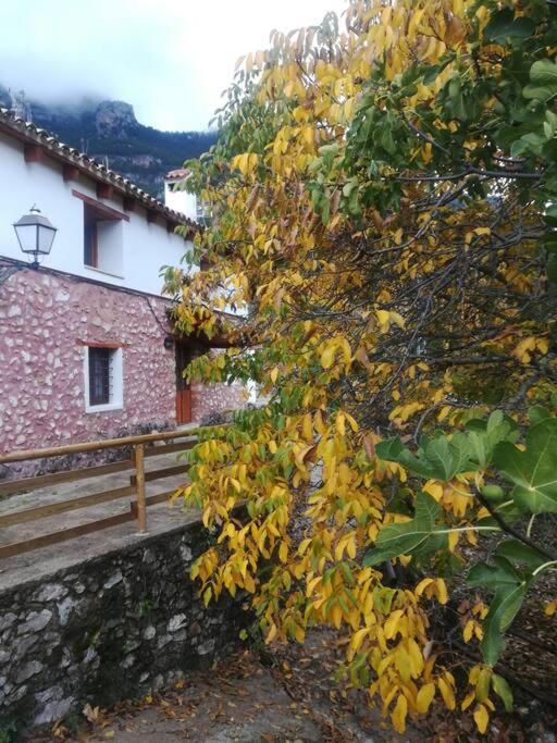 Casa en plena naturaleza