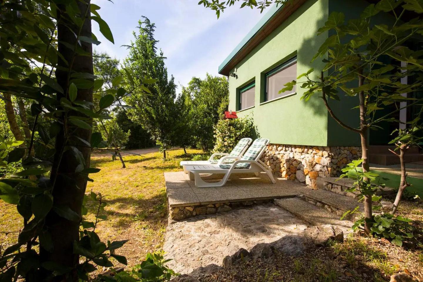 Tiny house Laurel view 2