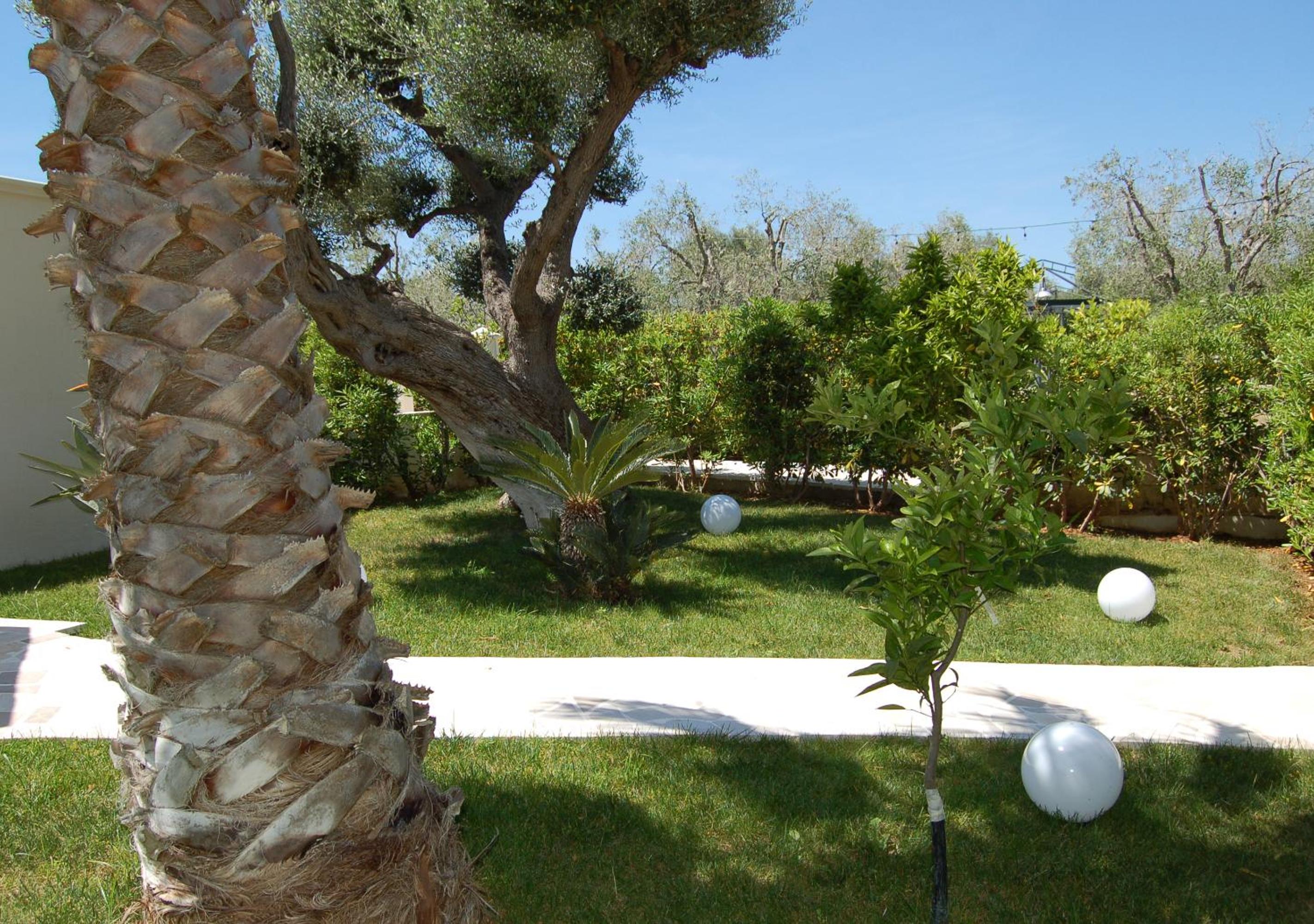 Tenuta Verdolivo