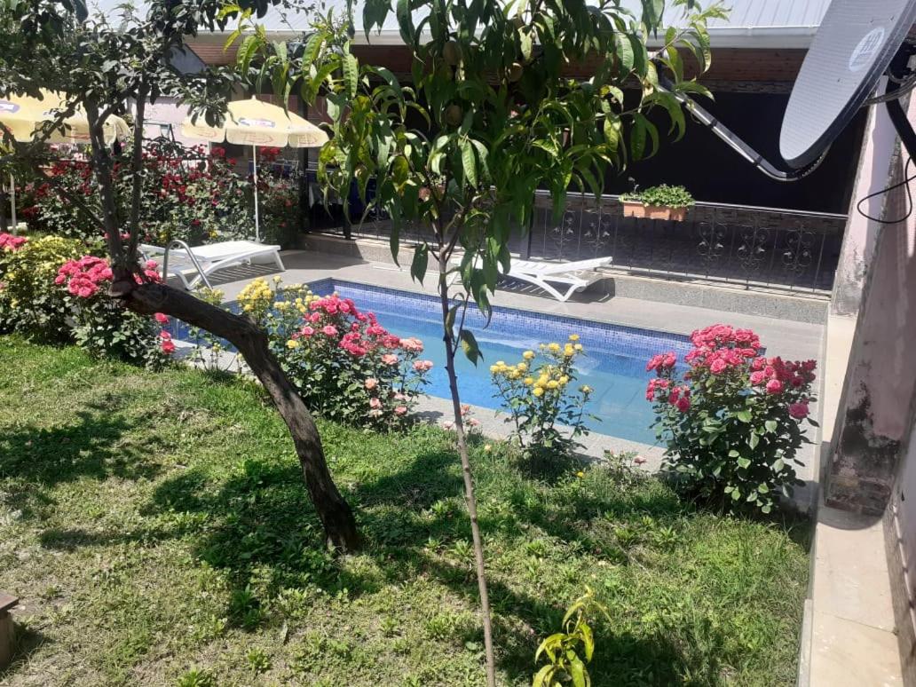 Elnur small villa