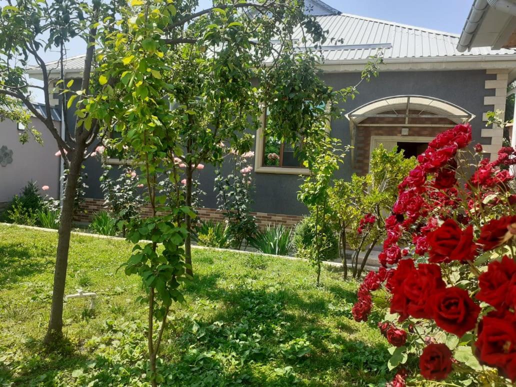 Elnur small villa