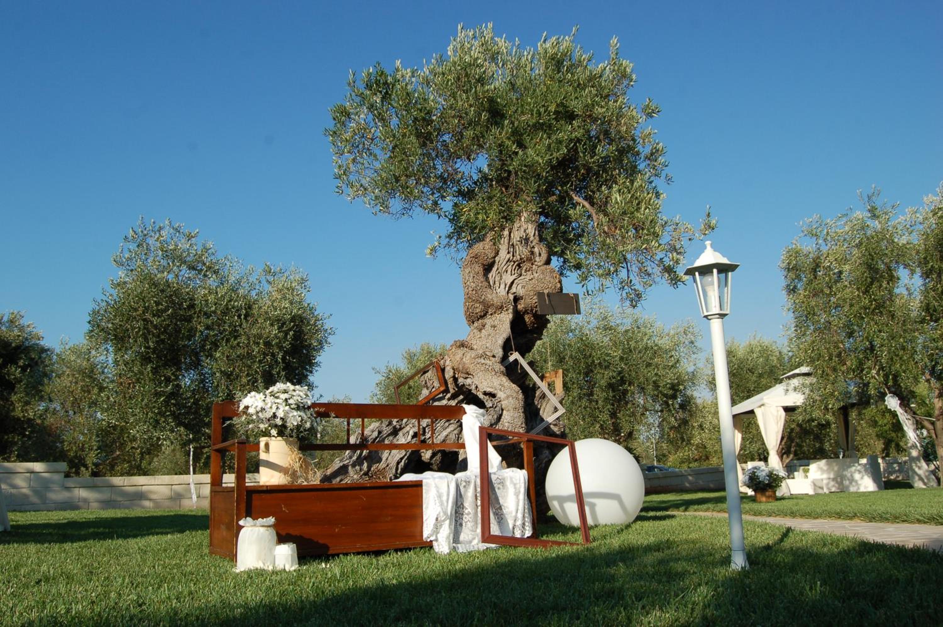 Tenuta Verdolivo