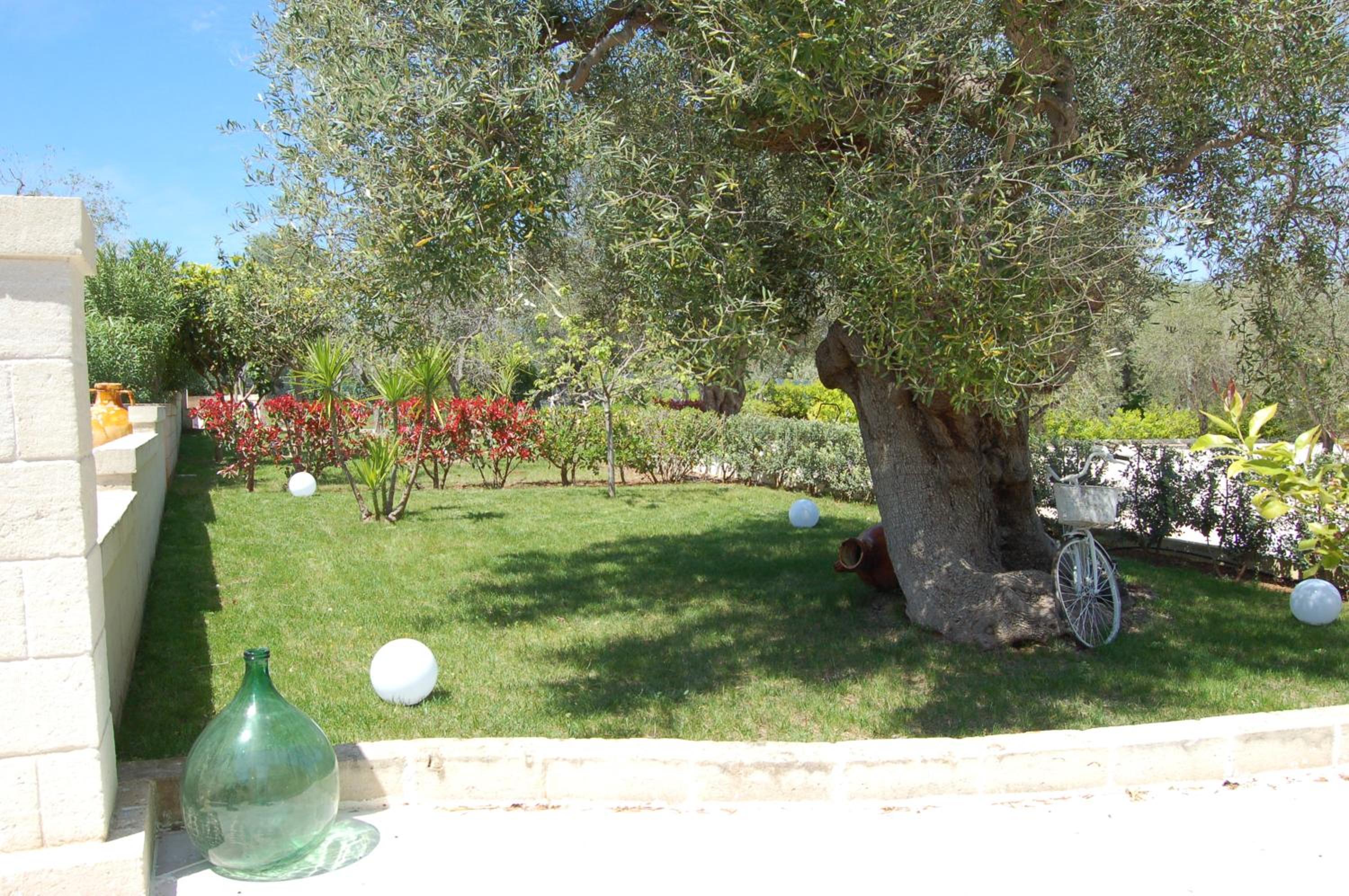 Tenuta Verdolivo
