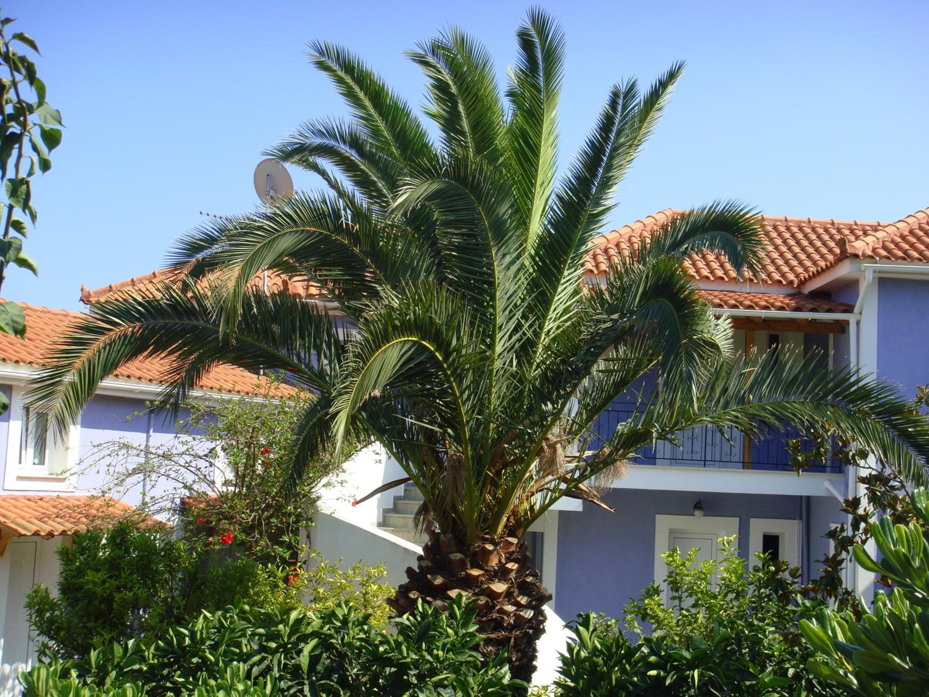 Villa Eliza view 5
