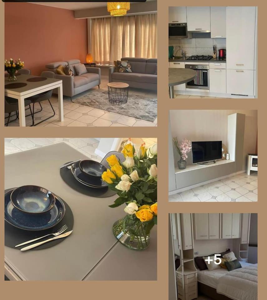 appartement loulitta