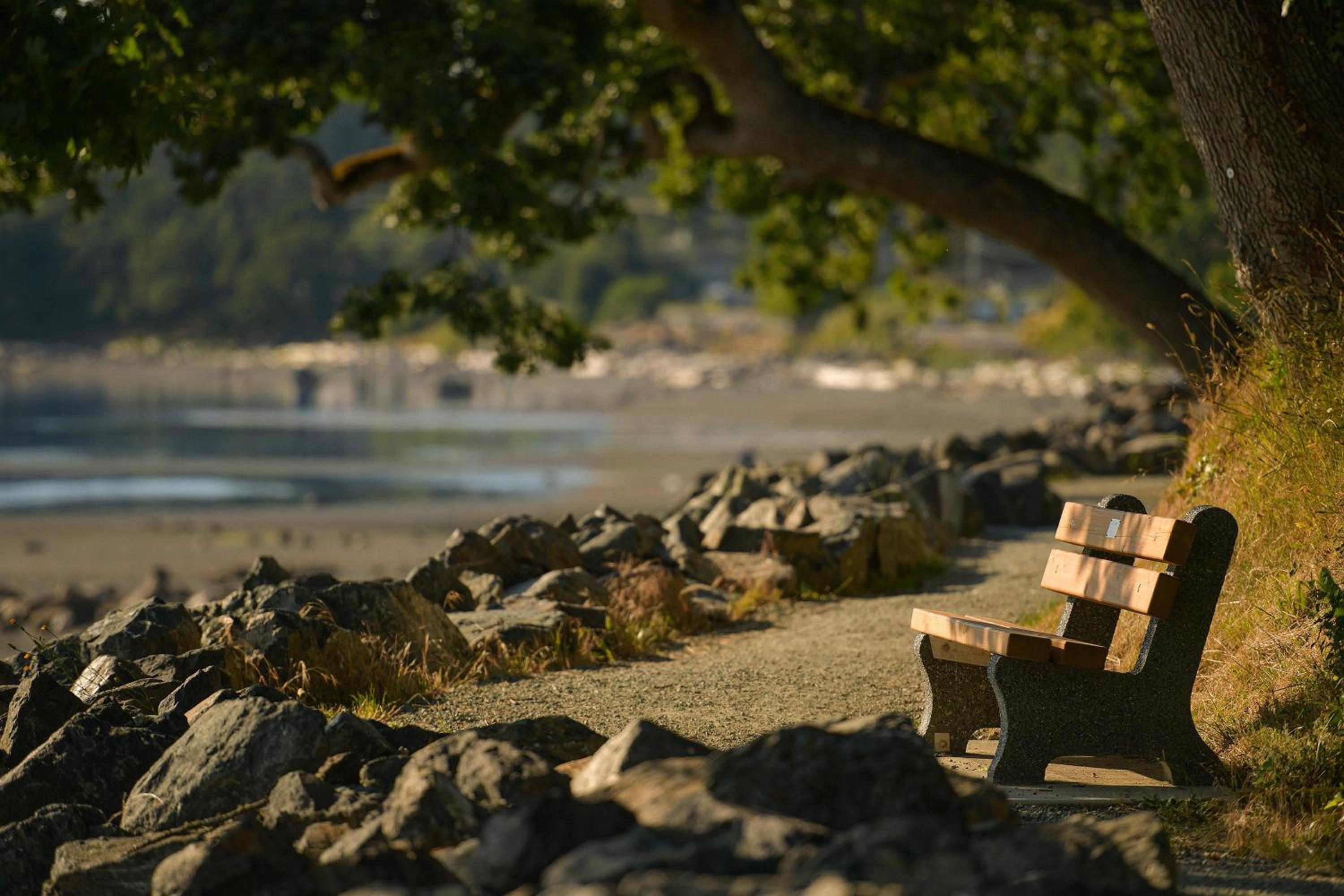 The Bayside Cottage by EMR Vacation Rentals