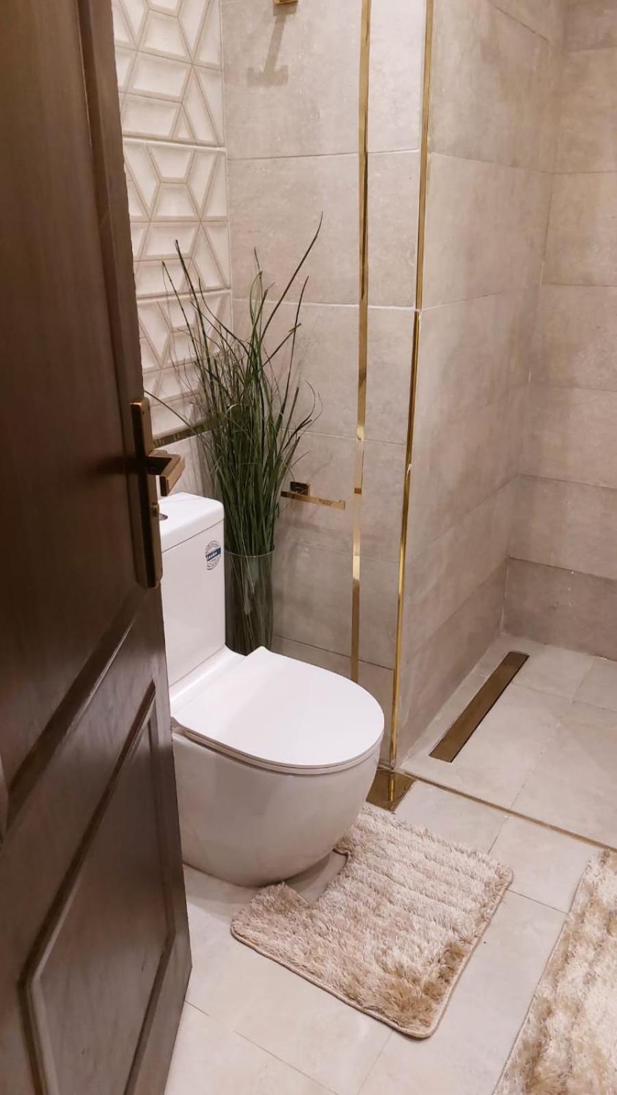 Furnished luxury apartment