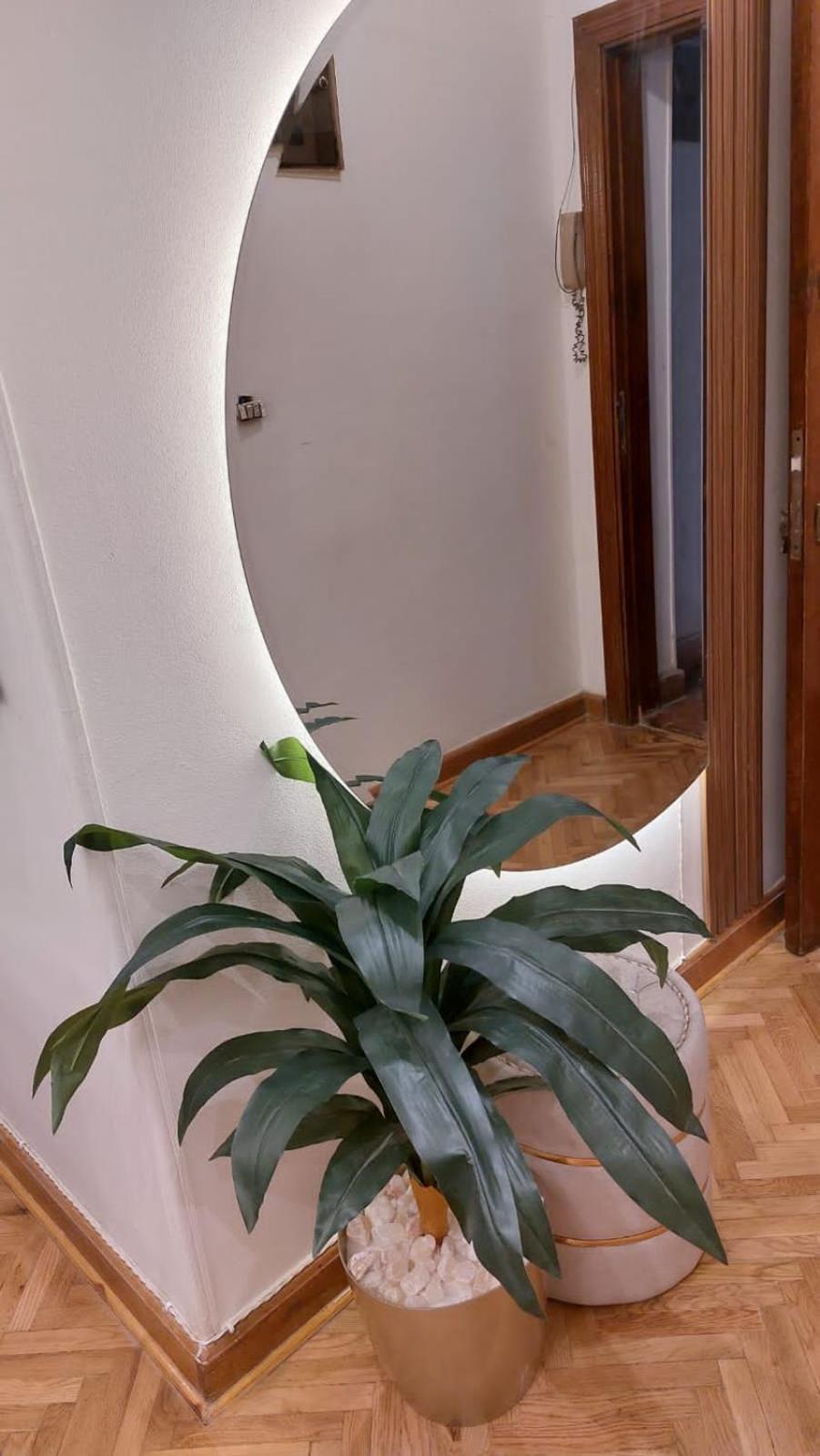 Furnished luxury apartment
