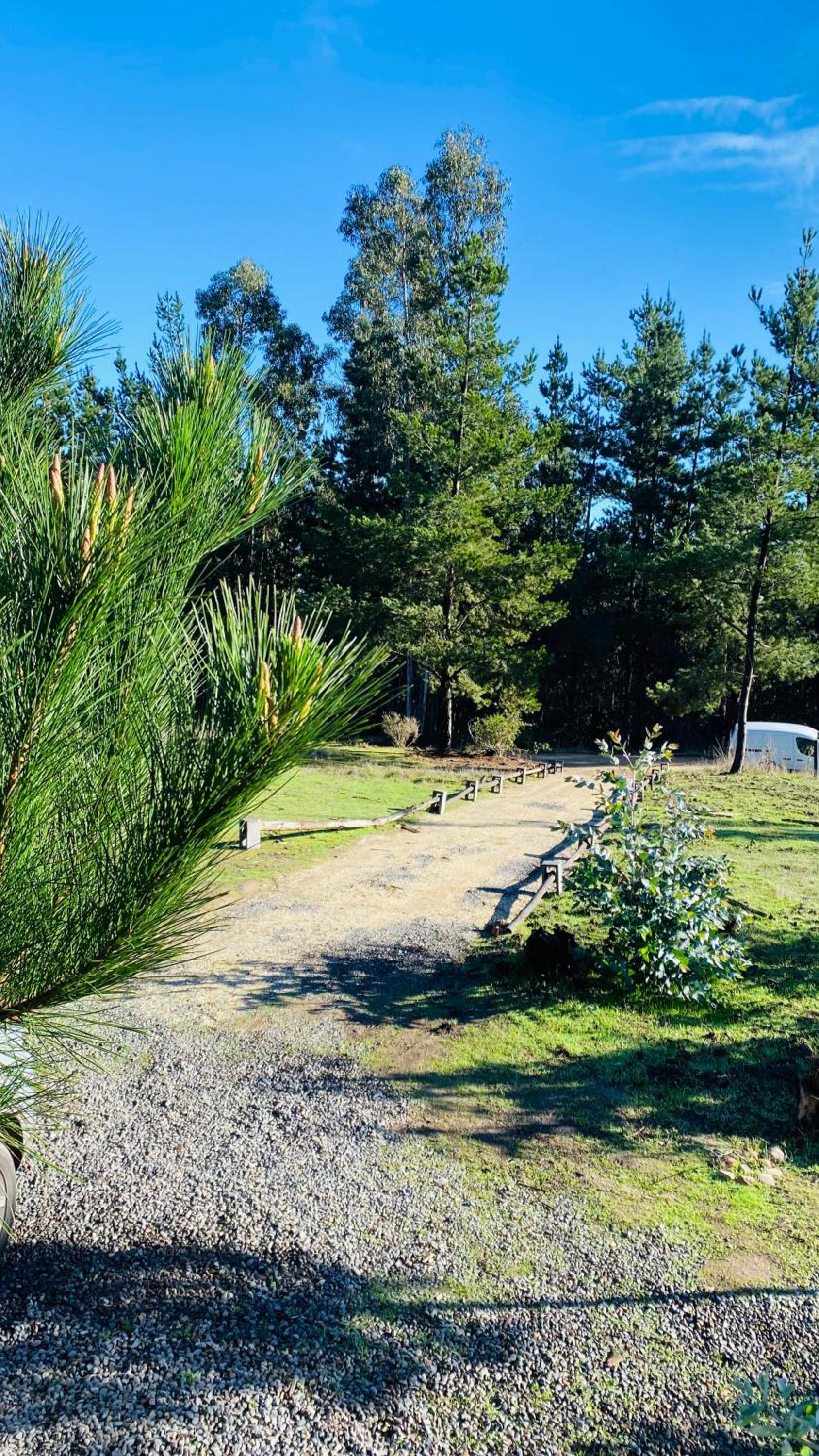 Cabaña Matanzas tinaja privada vista al bosque
