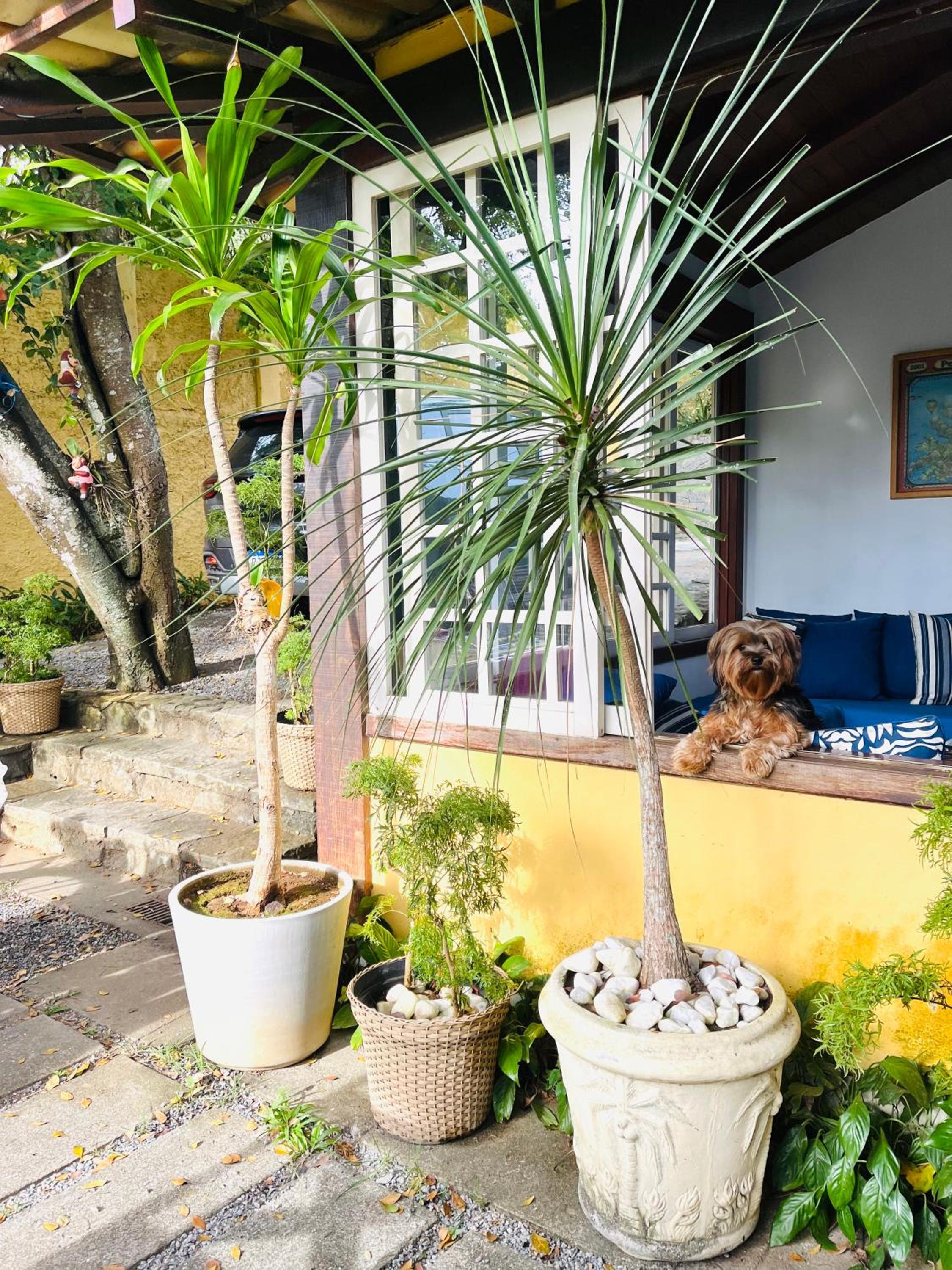 Búzios Praia da Ferradura Linda casa dentro de Condomínio com toda infraestrutura - água e luz inclusos na tarifa