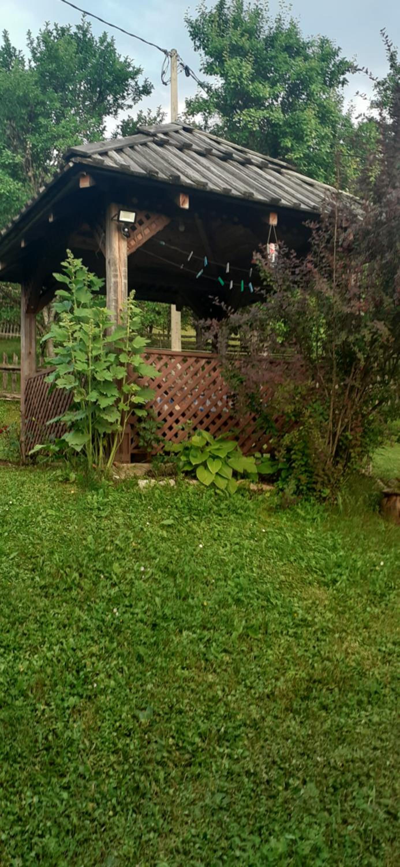 Photo 23