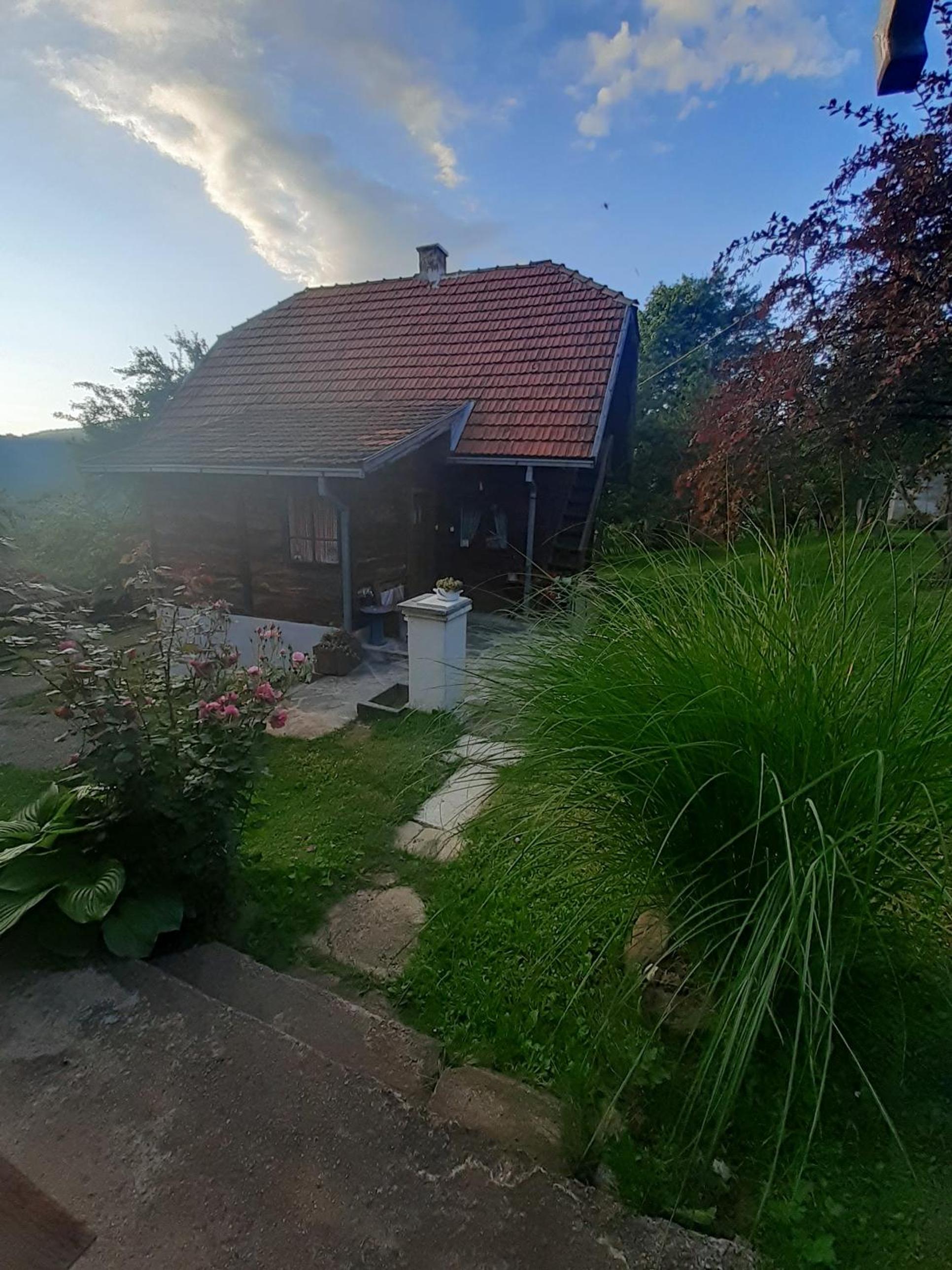 Photo 20