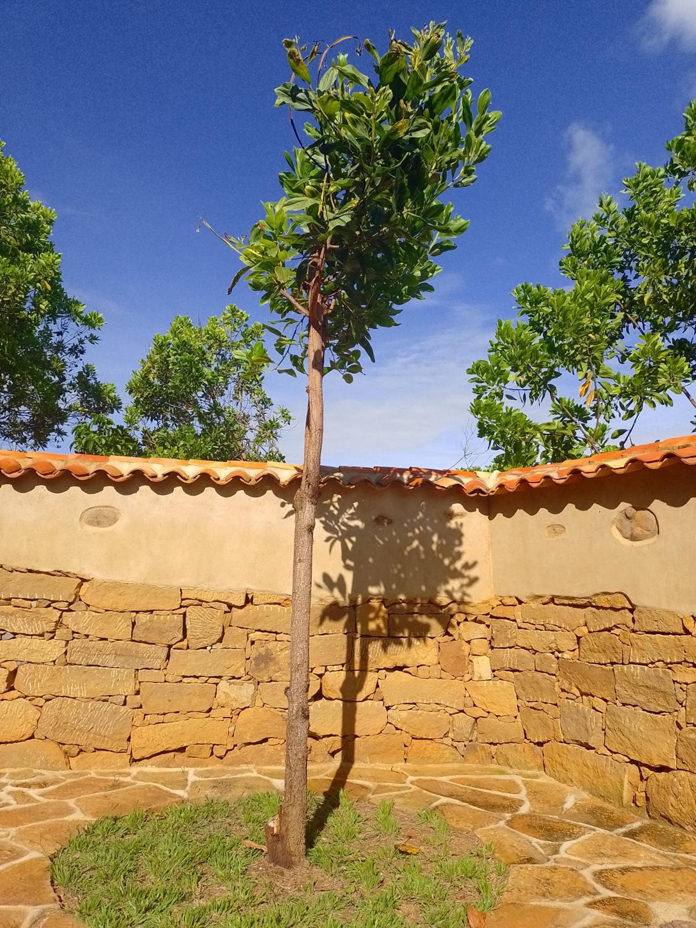 Color Marron casa de campo