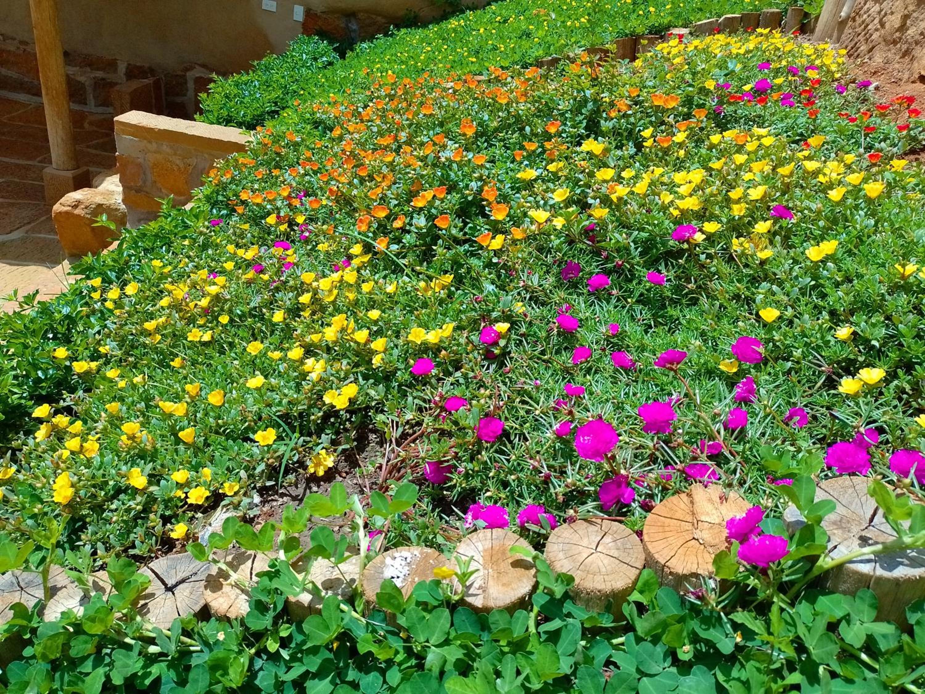 Color Marron casa de campo