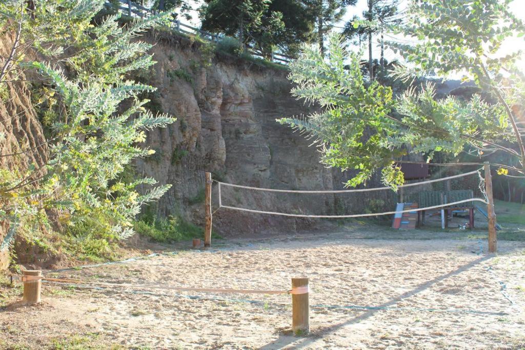 Photo 45