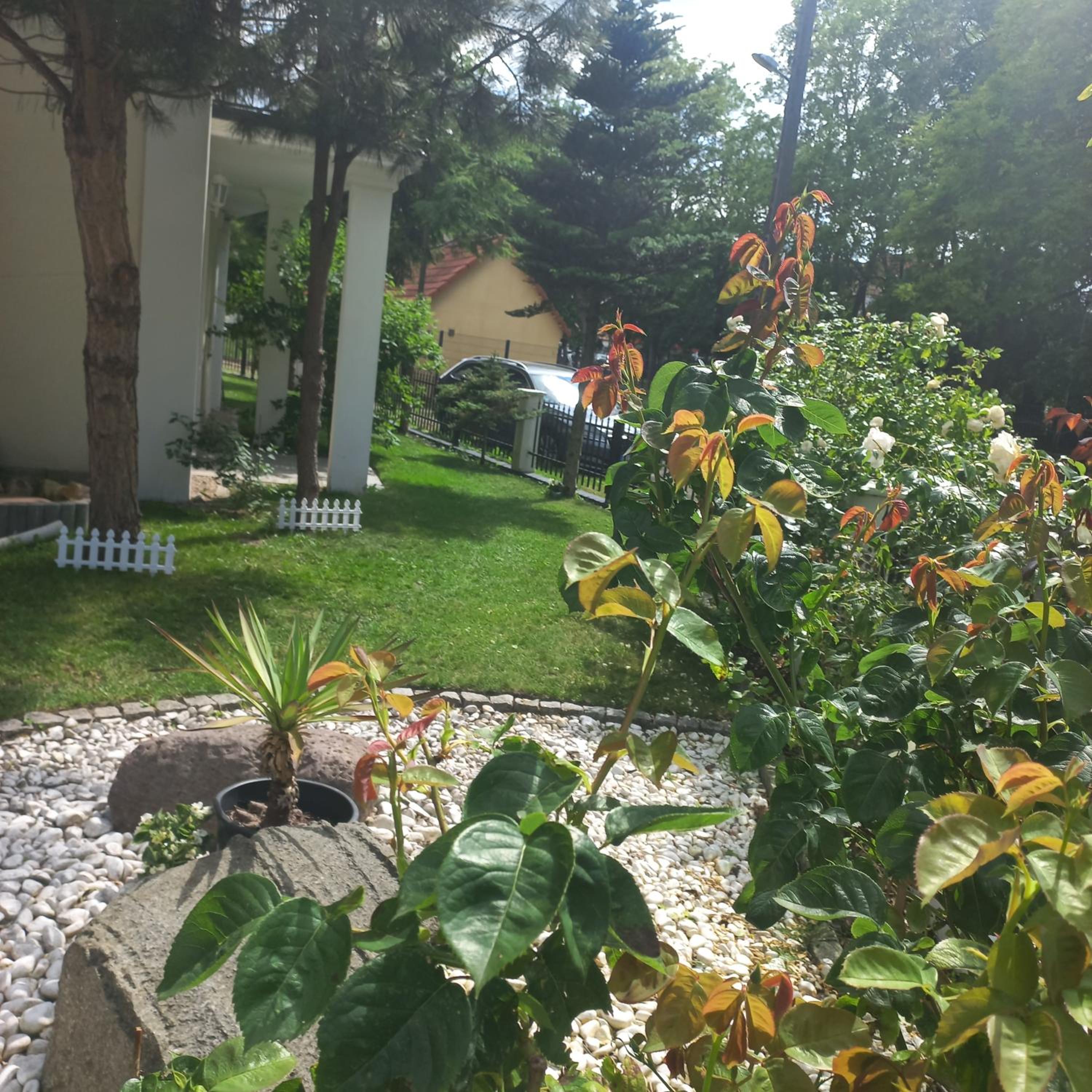 Photo 37