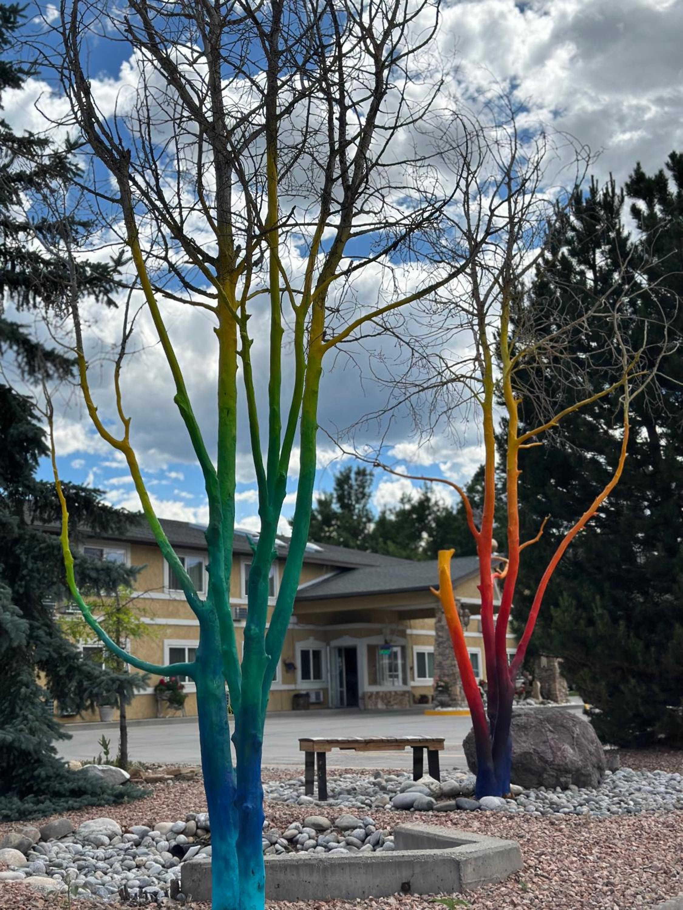 Photo 100