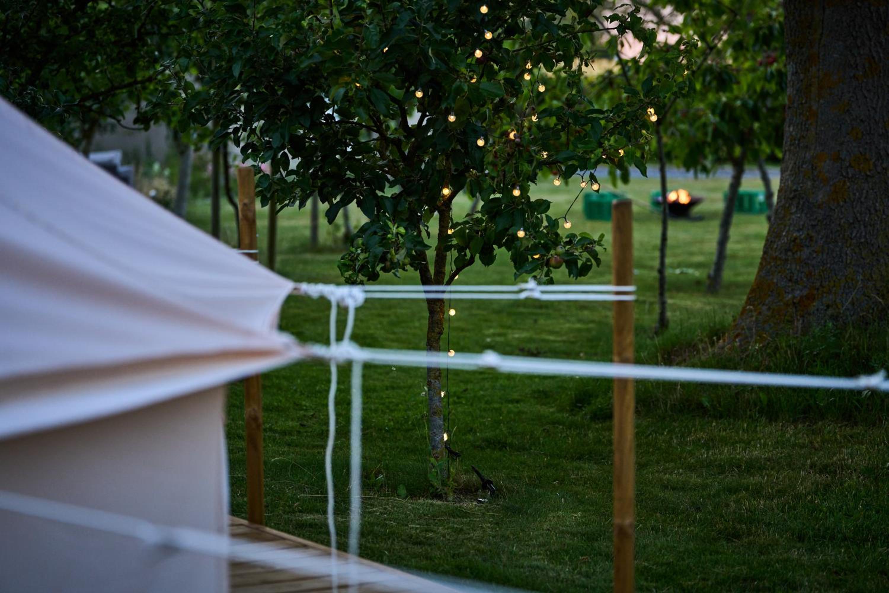 Hesselgaard Glamping