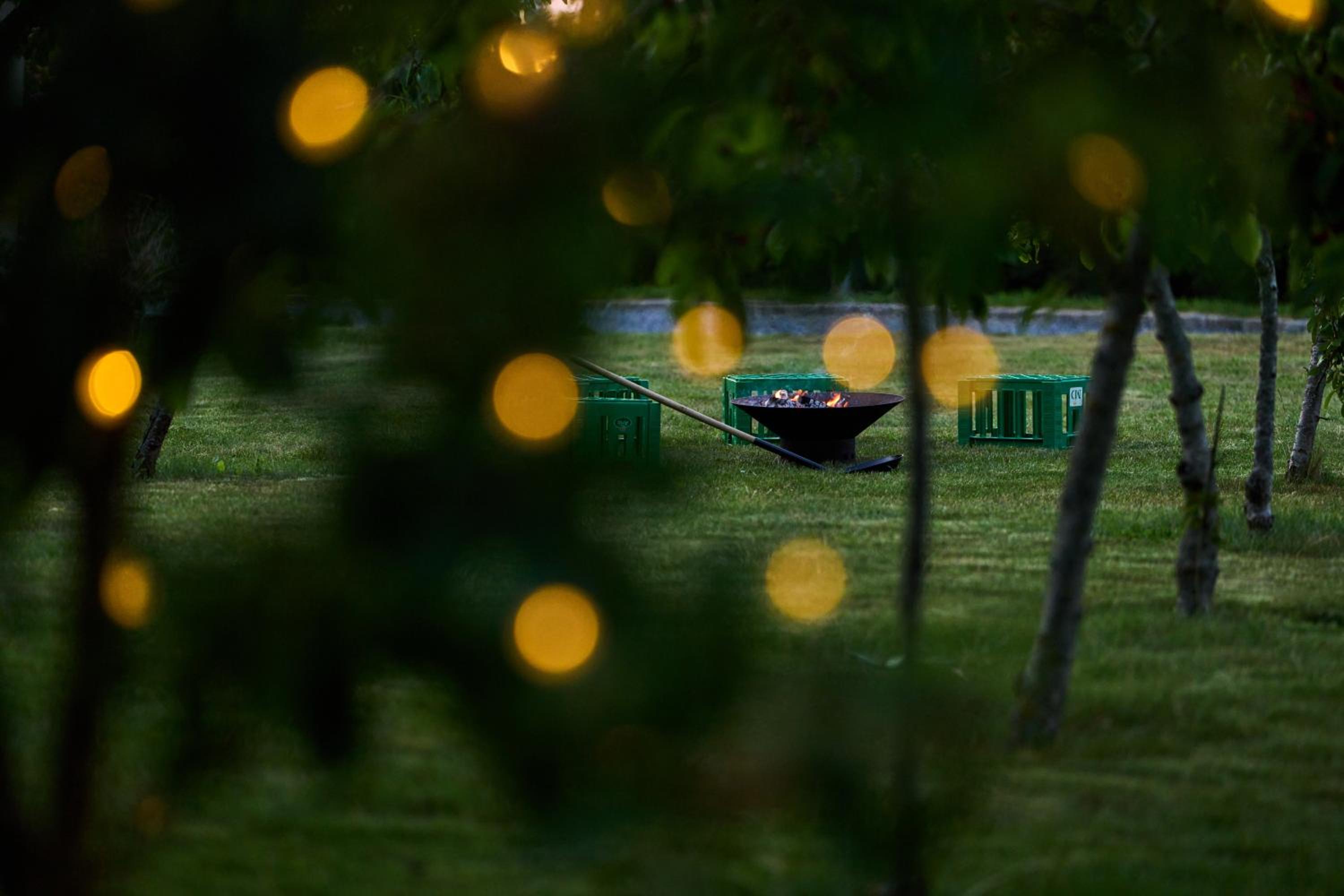 Hesselgaard Glamping