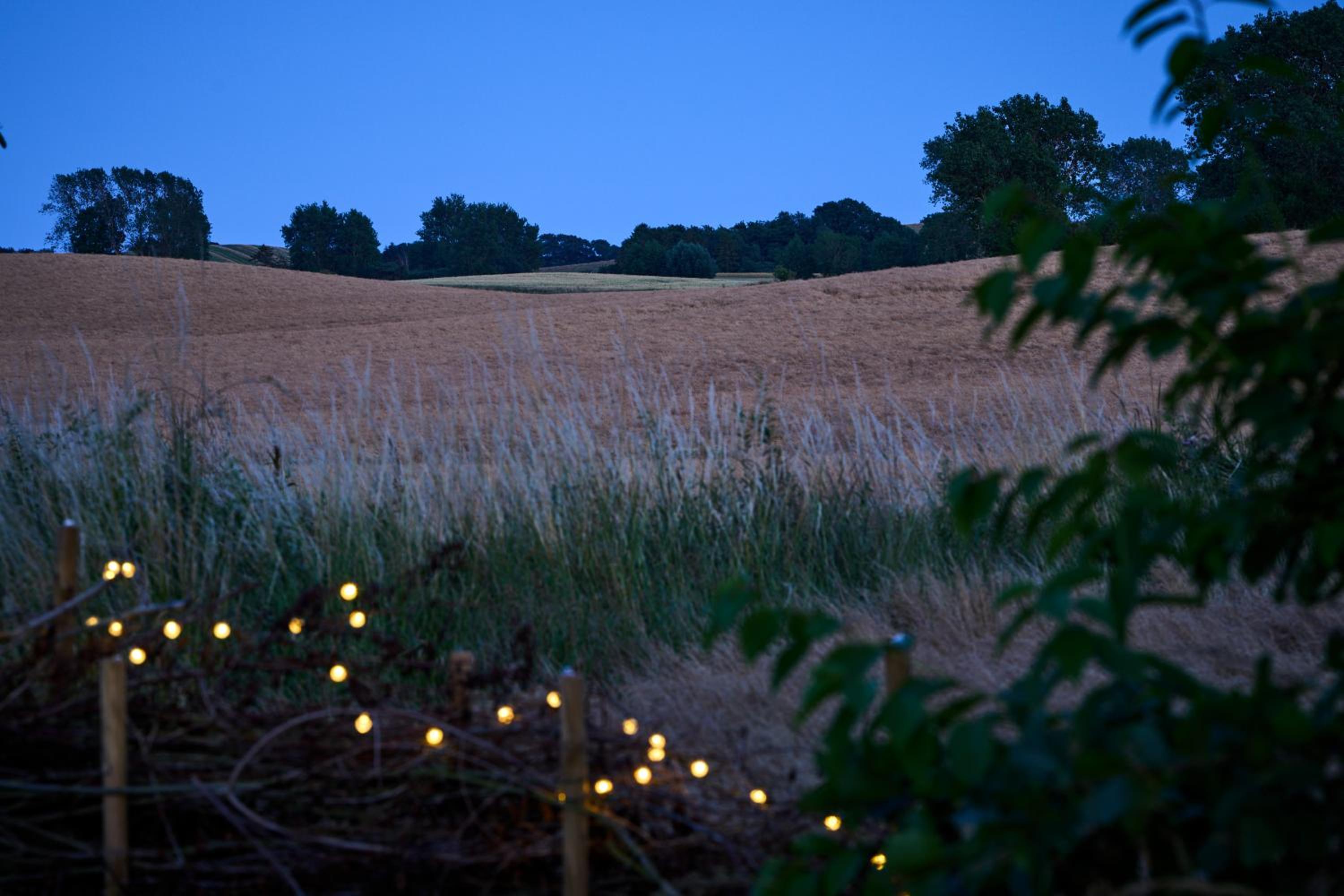 Hesselgaard Glamping